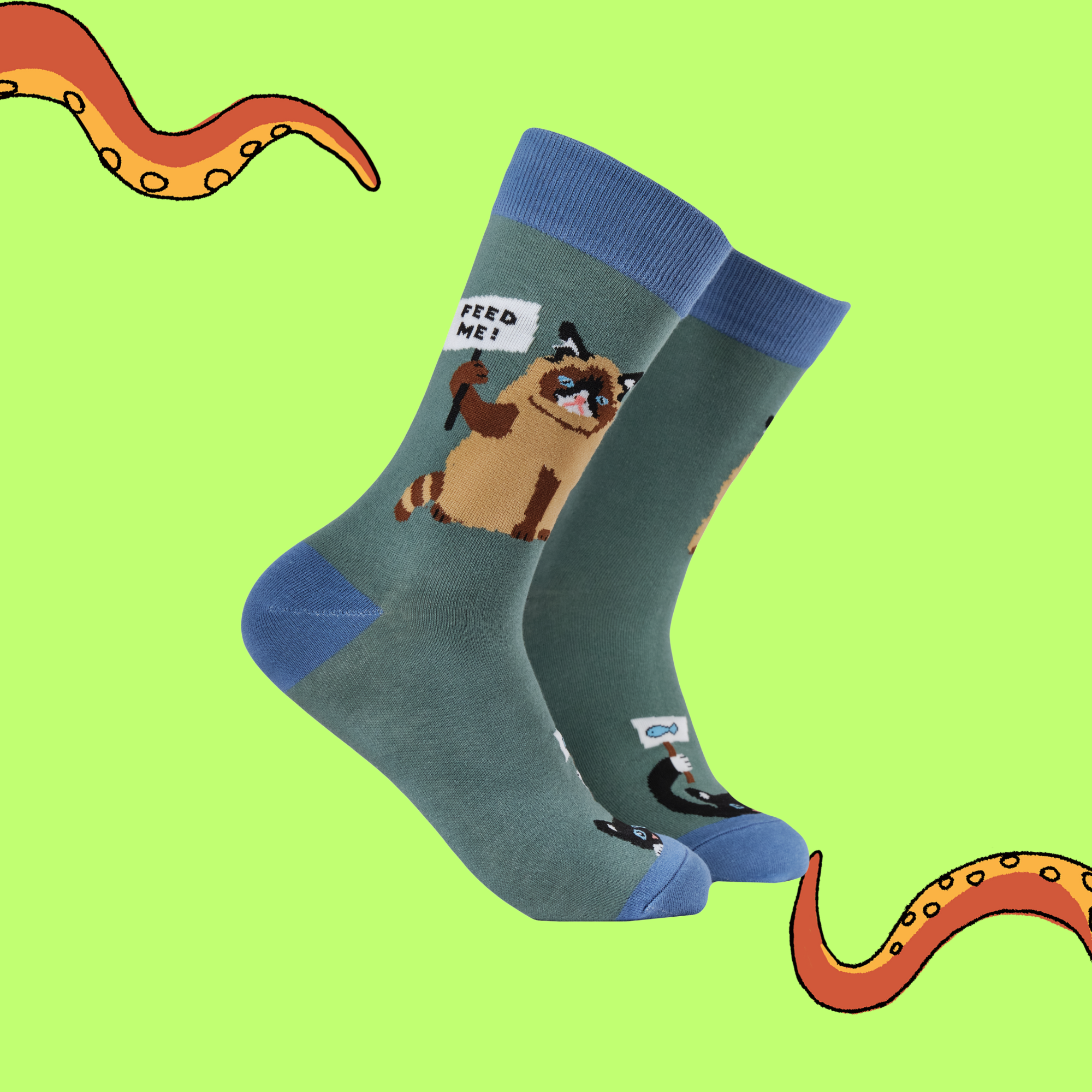 Cat Socks - Cat-itude