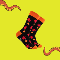 Feathers McGraw Socks - Wallace and Gromit