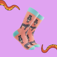 Fluffy Donkeys Socks