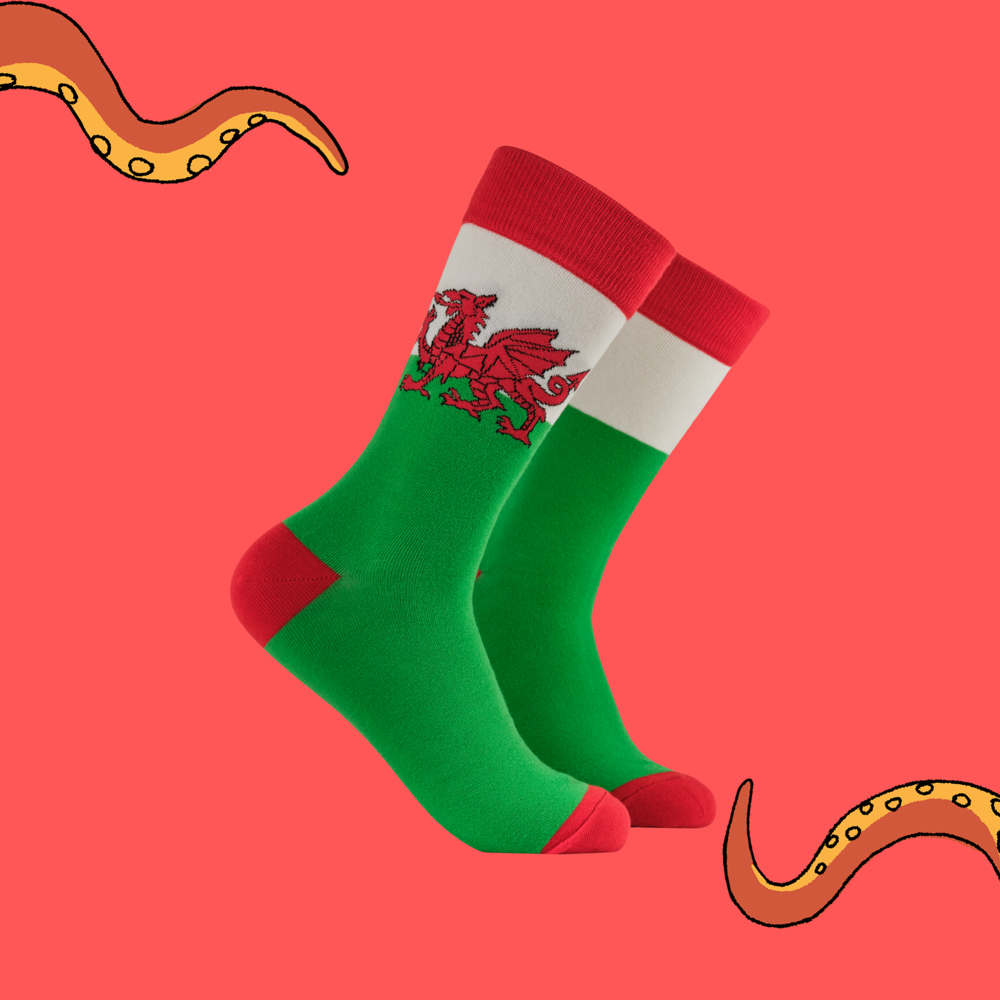 Welsh Flag Socks