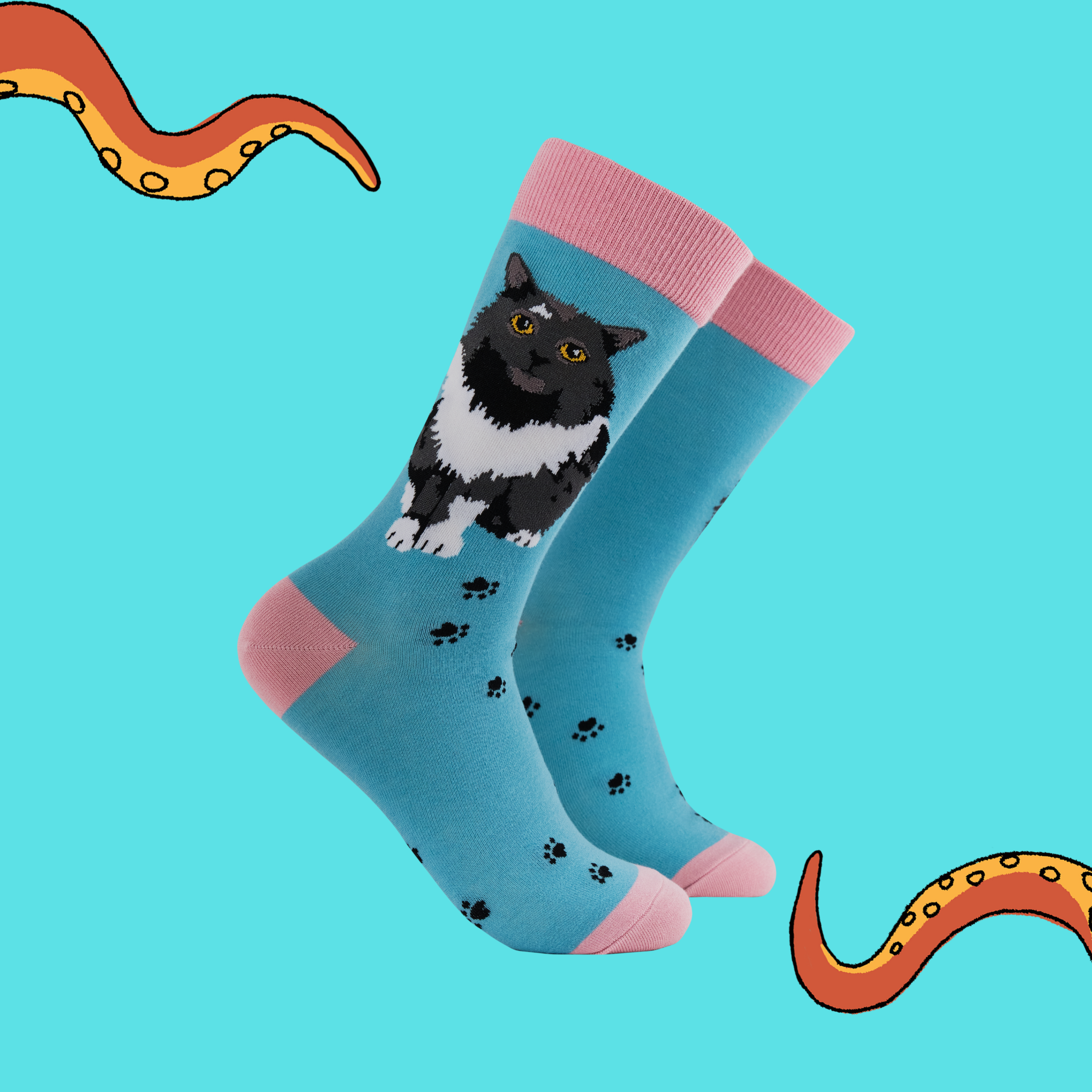 Cat Socks - Pro-Cat-Stinating