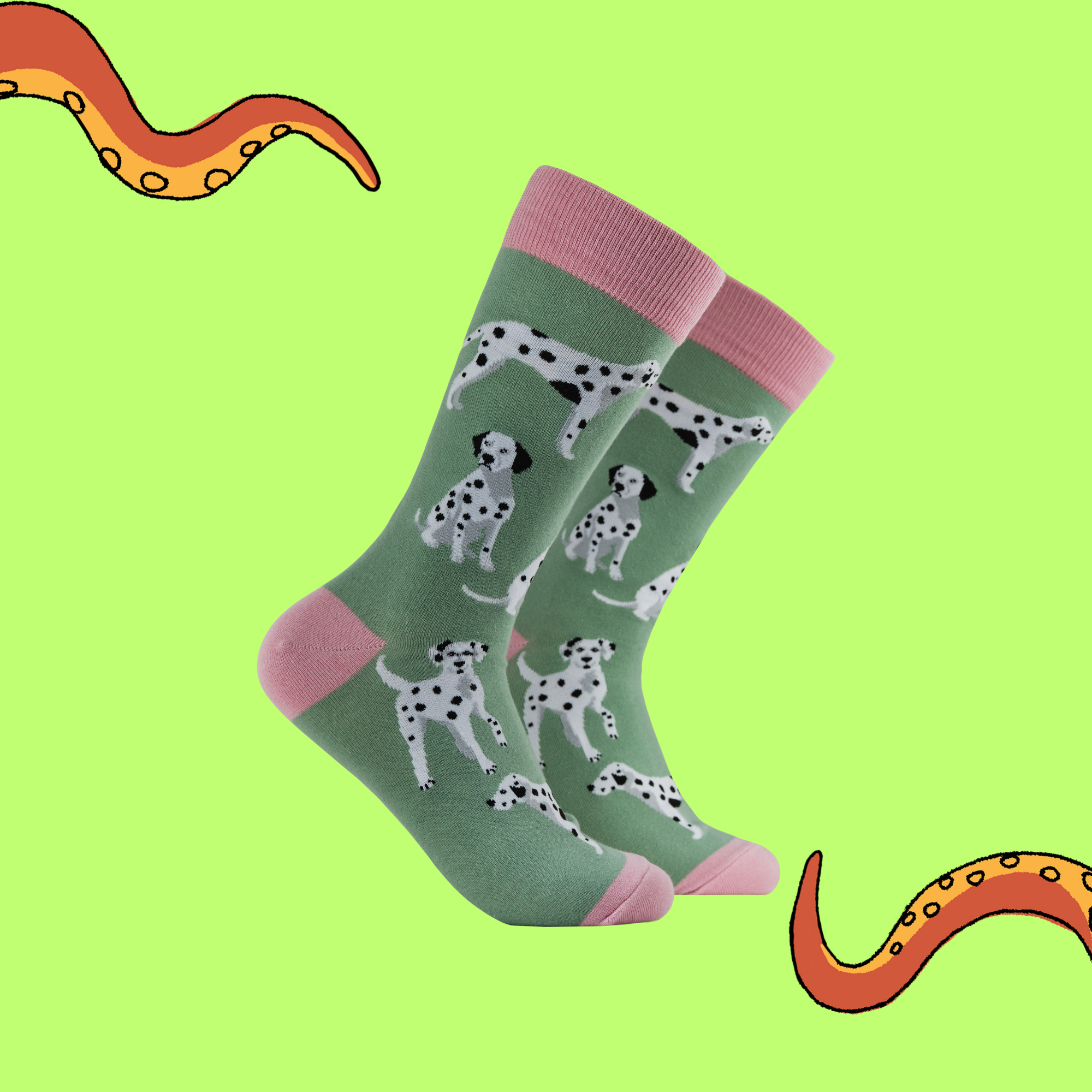 Dalmatian Socks - Spot The Difference