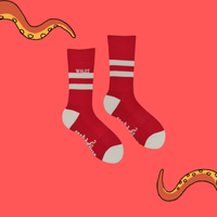 Wales Retro Sports Athletic Socks