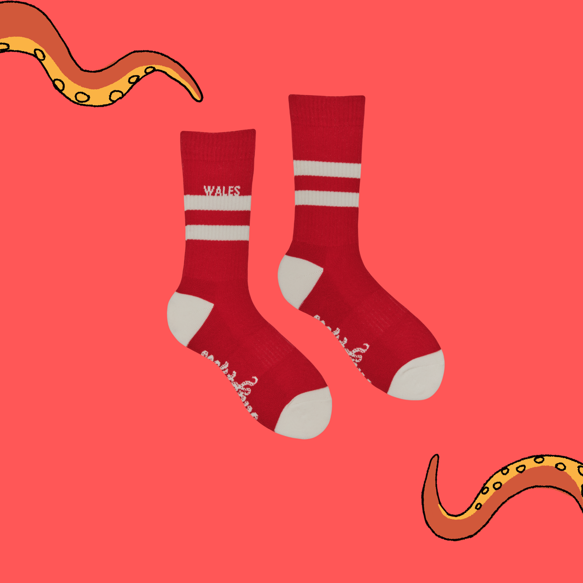 Wales Retro Sports Athletic Socks