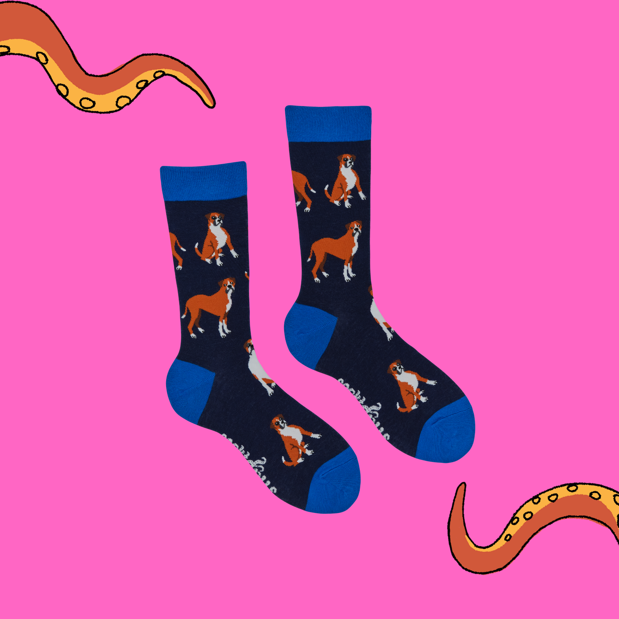 Boxer Socks - Soxer