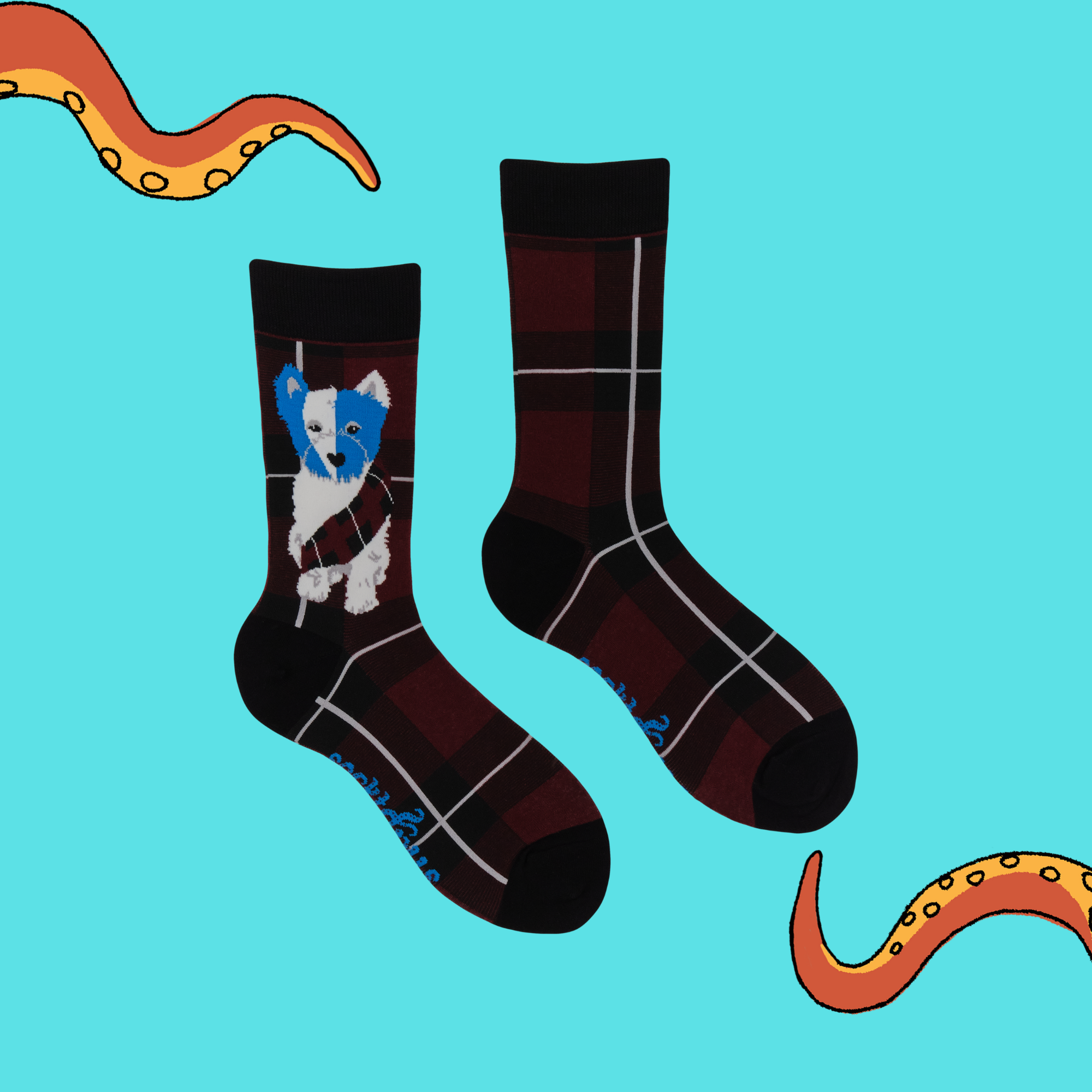 Braveheart Westie Dog Socks