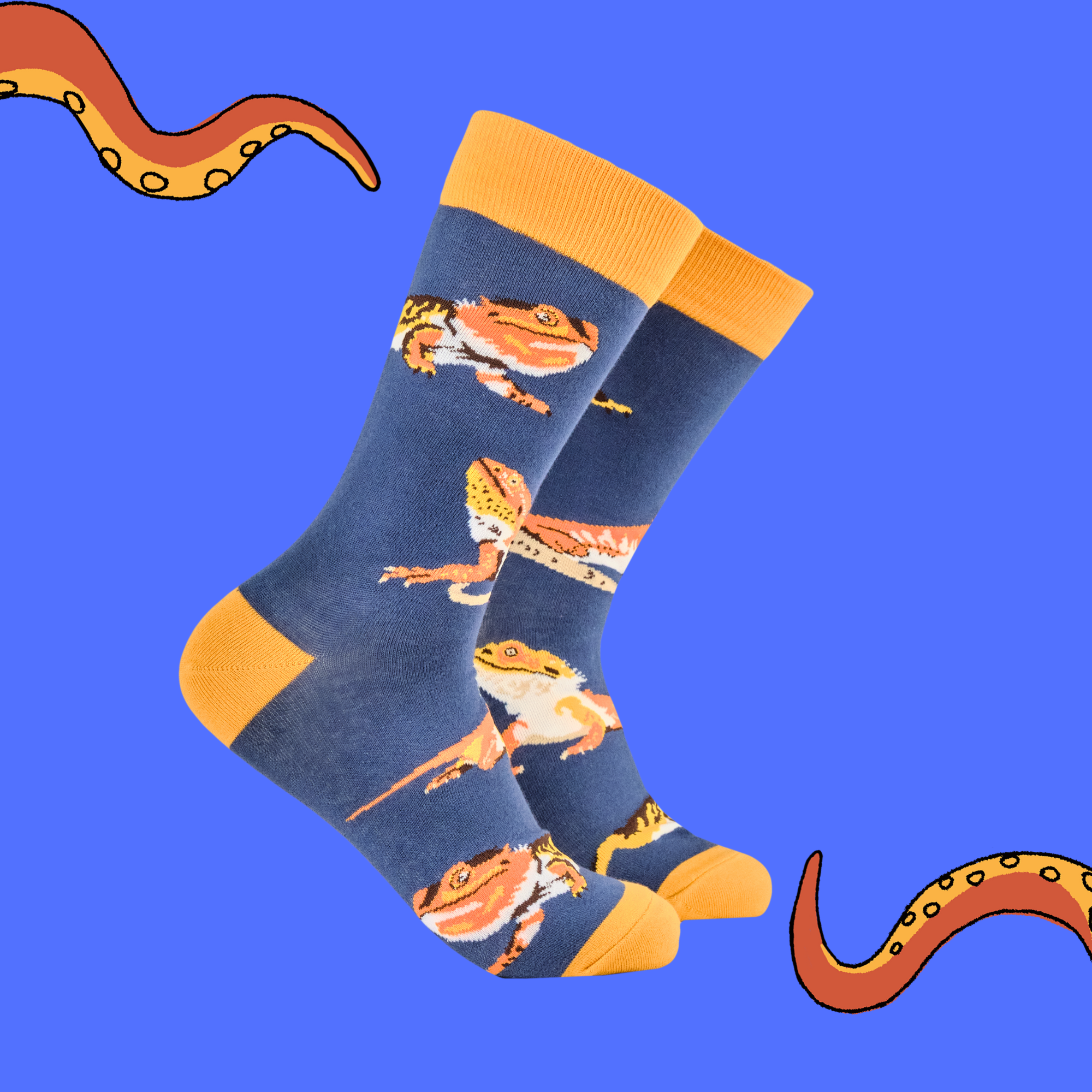 Bearded Dragon Socks