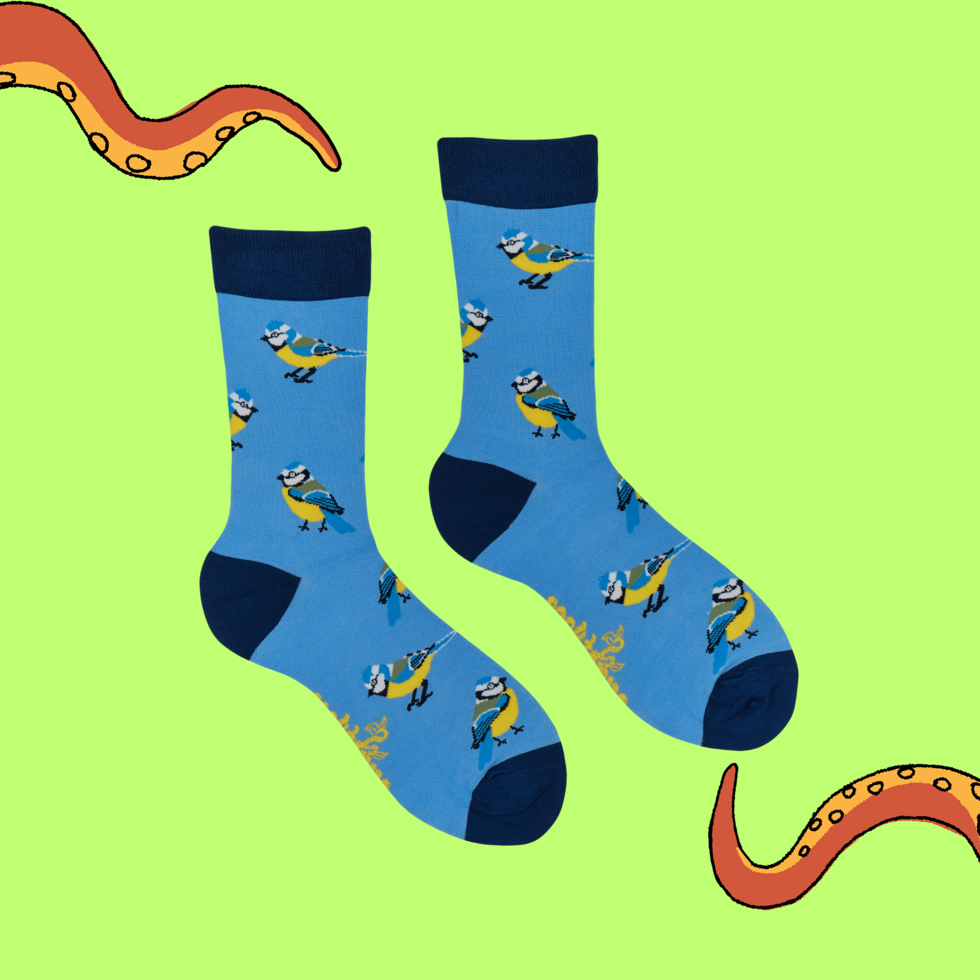 Blue Tit Bamboo Socks - Tit for Tat