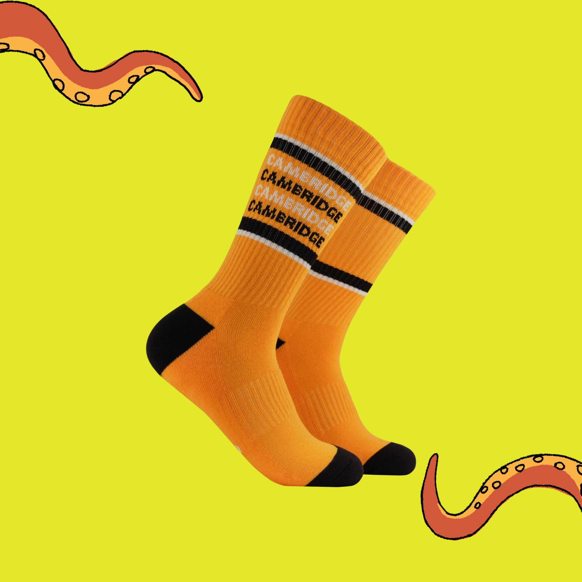 Cambridge Athletic Socks