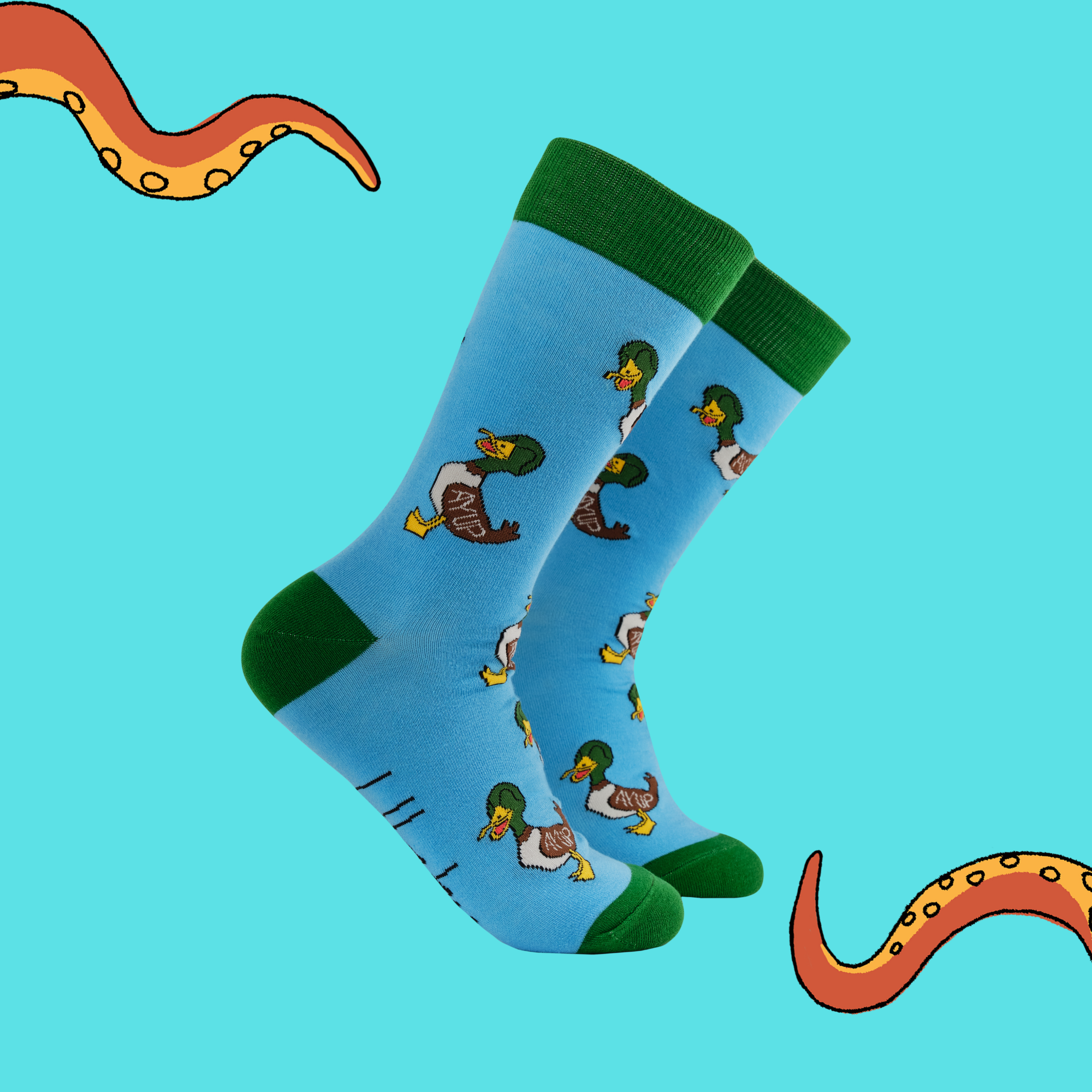 Aye Up Duck Socks - Luke Horton