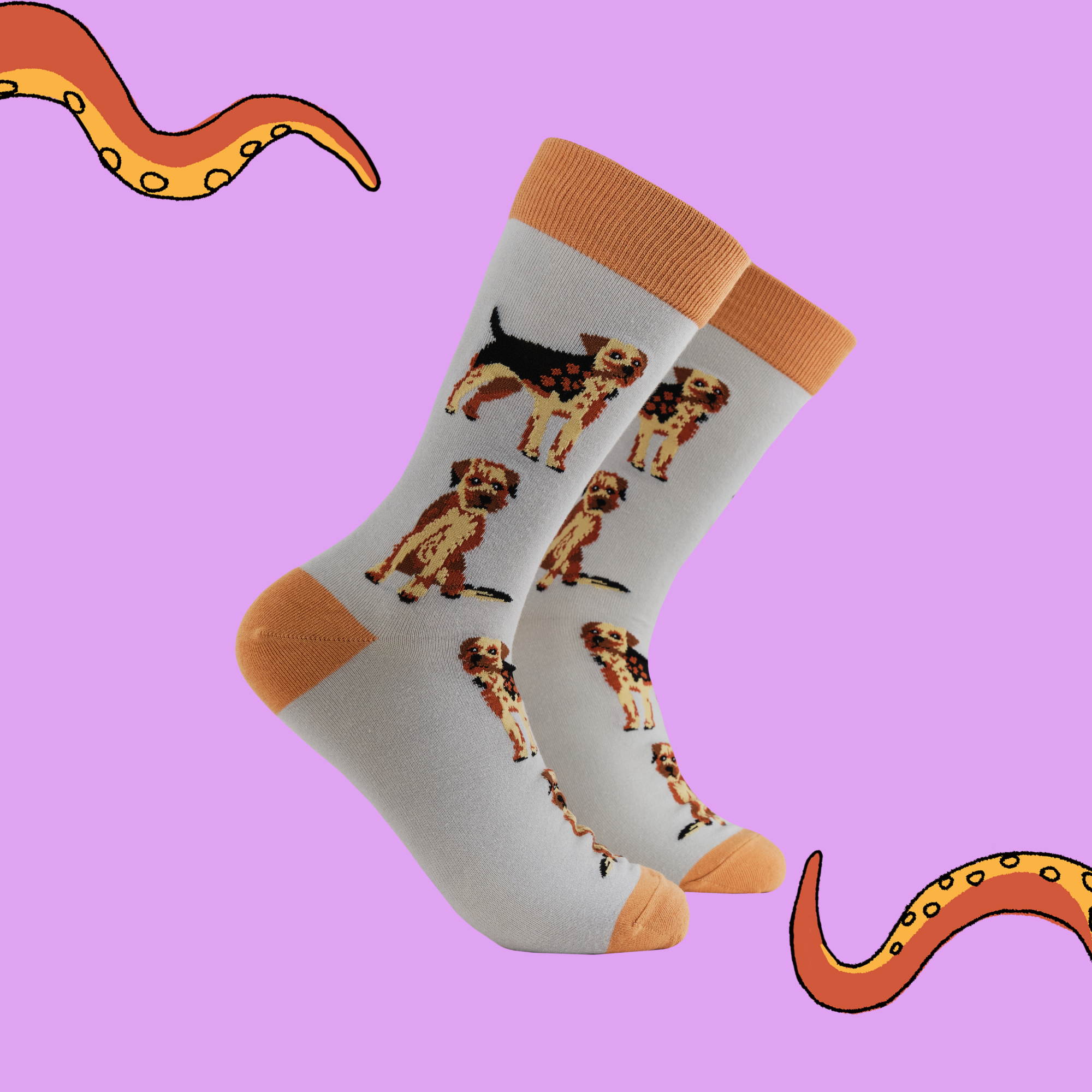 Border Terrier Socks - Borderline Obsessed