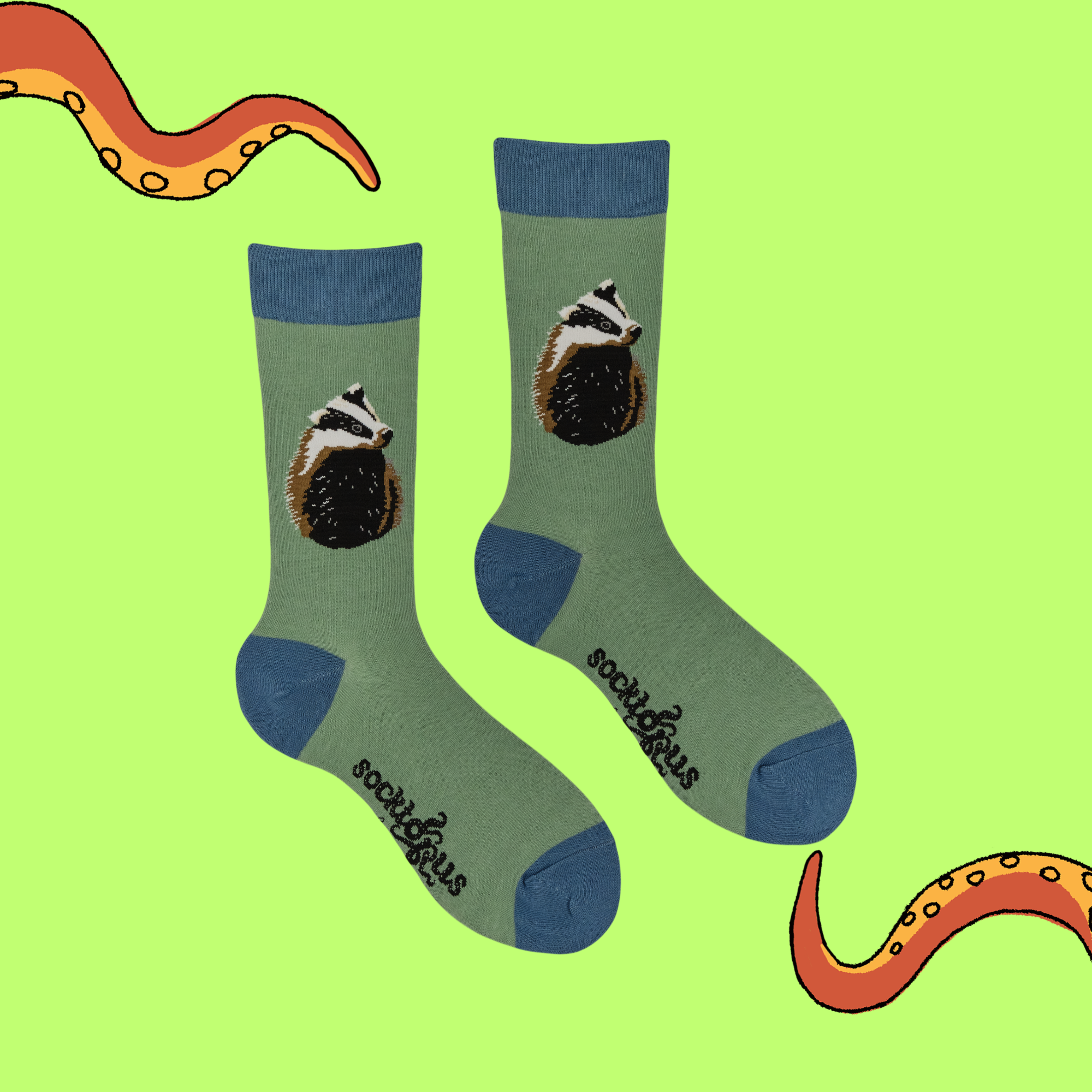 Badger Socks - Robert E Fuller