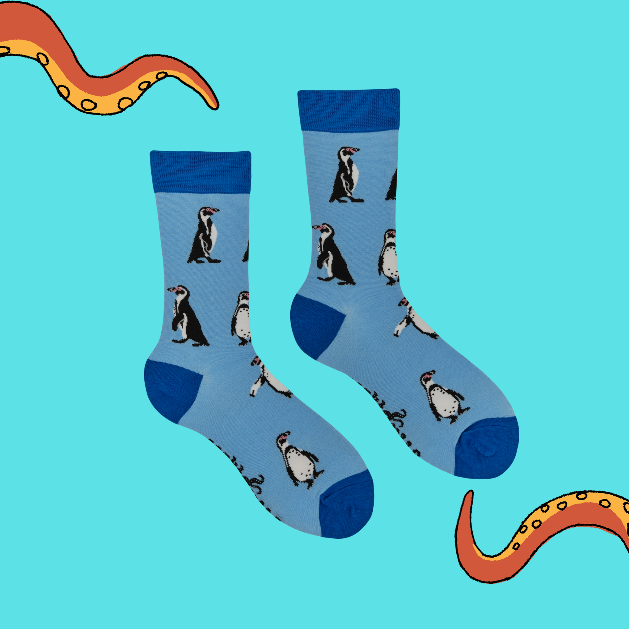 Humboldt Penguin Socks