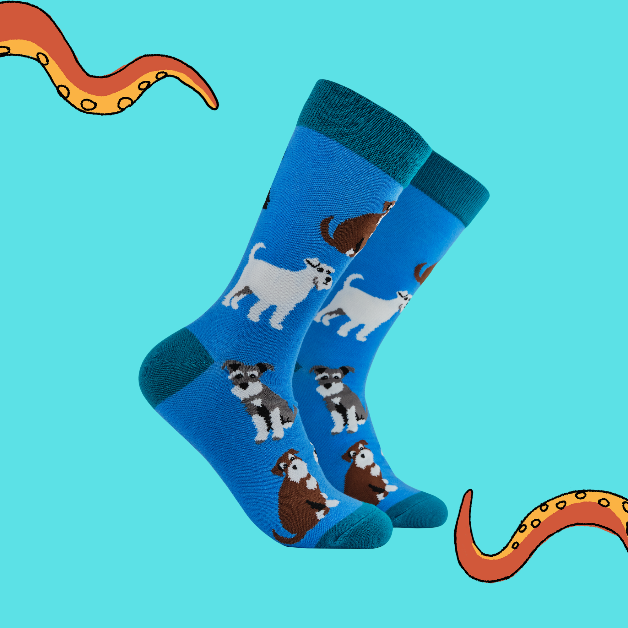 Schnauzer Socks - Schnauz-About That