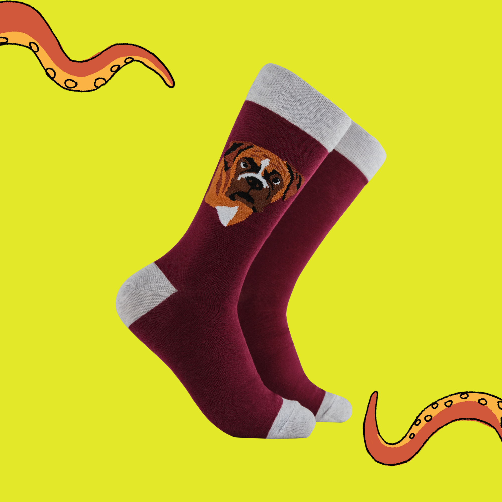 Boxer Dog Socks - Think Outside The Boxer