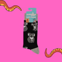 Fluffy Koalas Socks