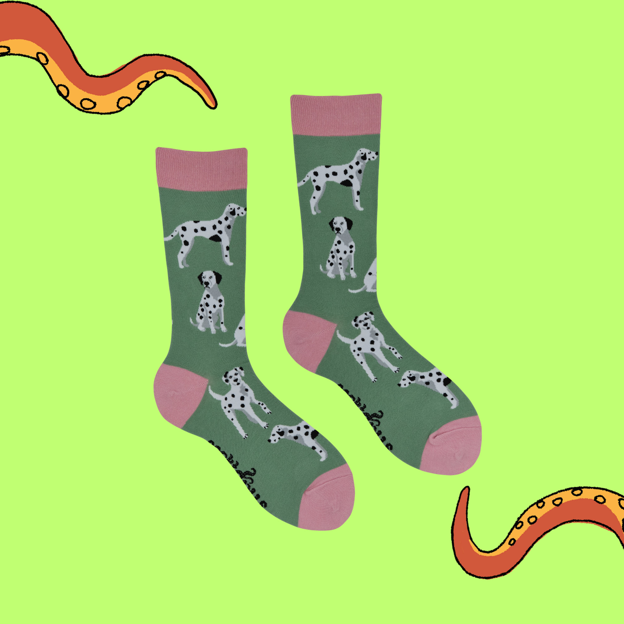 Dalmatian Socks - Spot The Difference