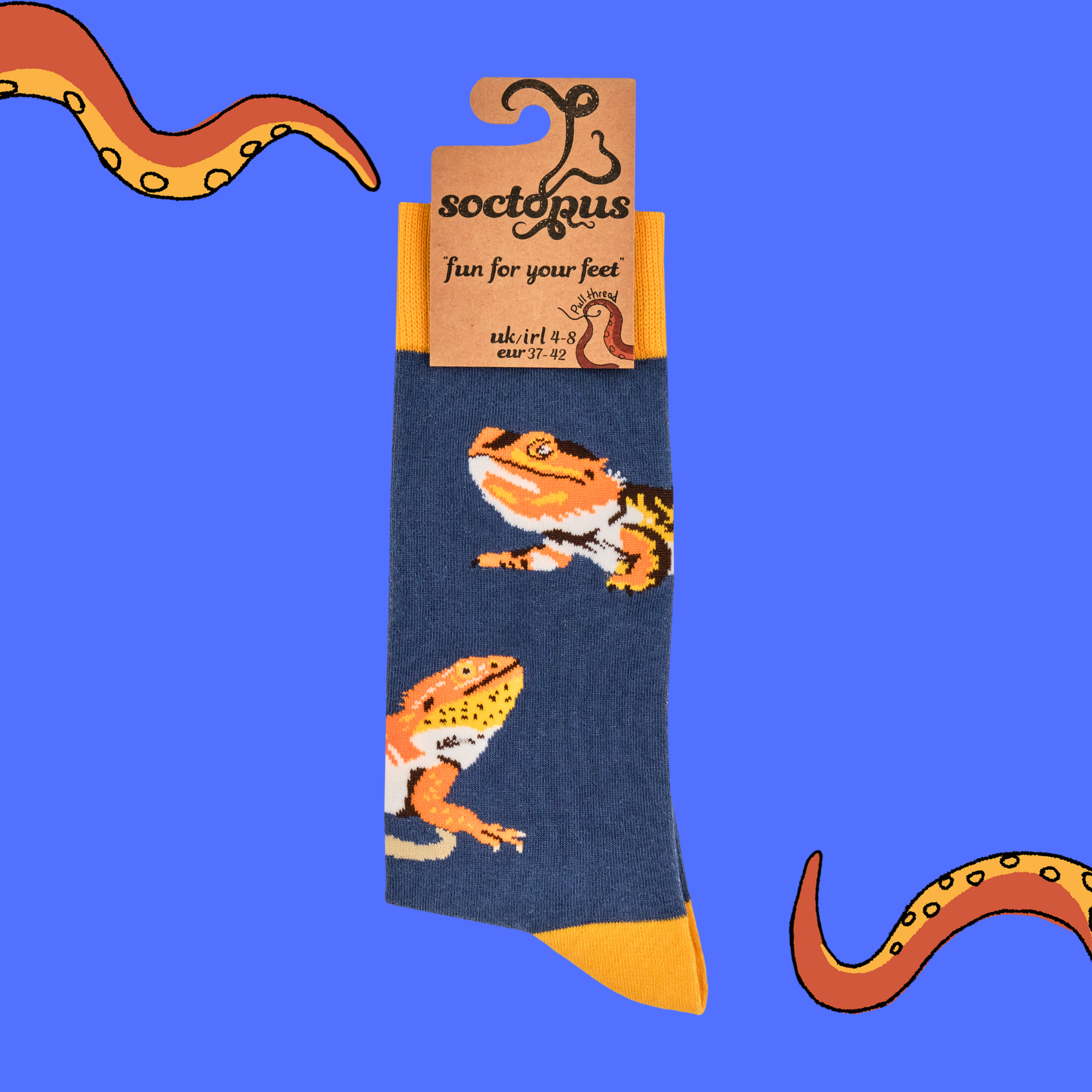 Bearded Dragon Socks