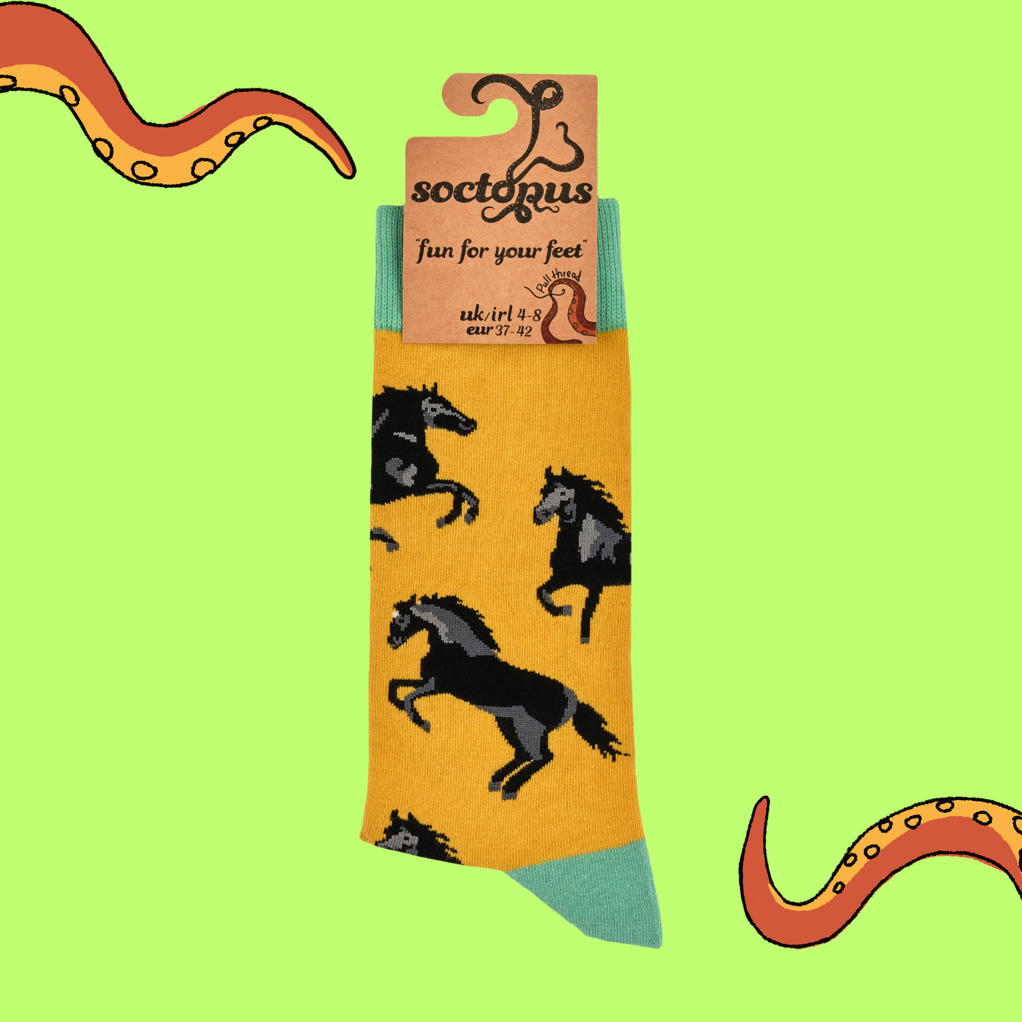 Black Stallion Socks