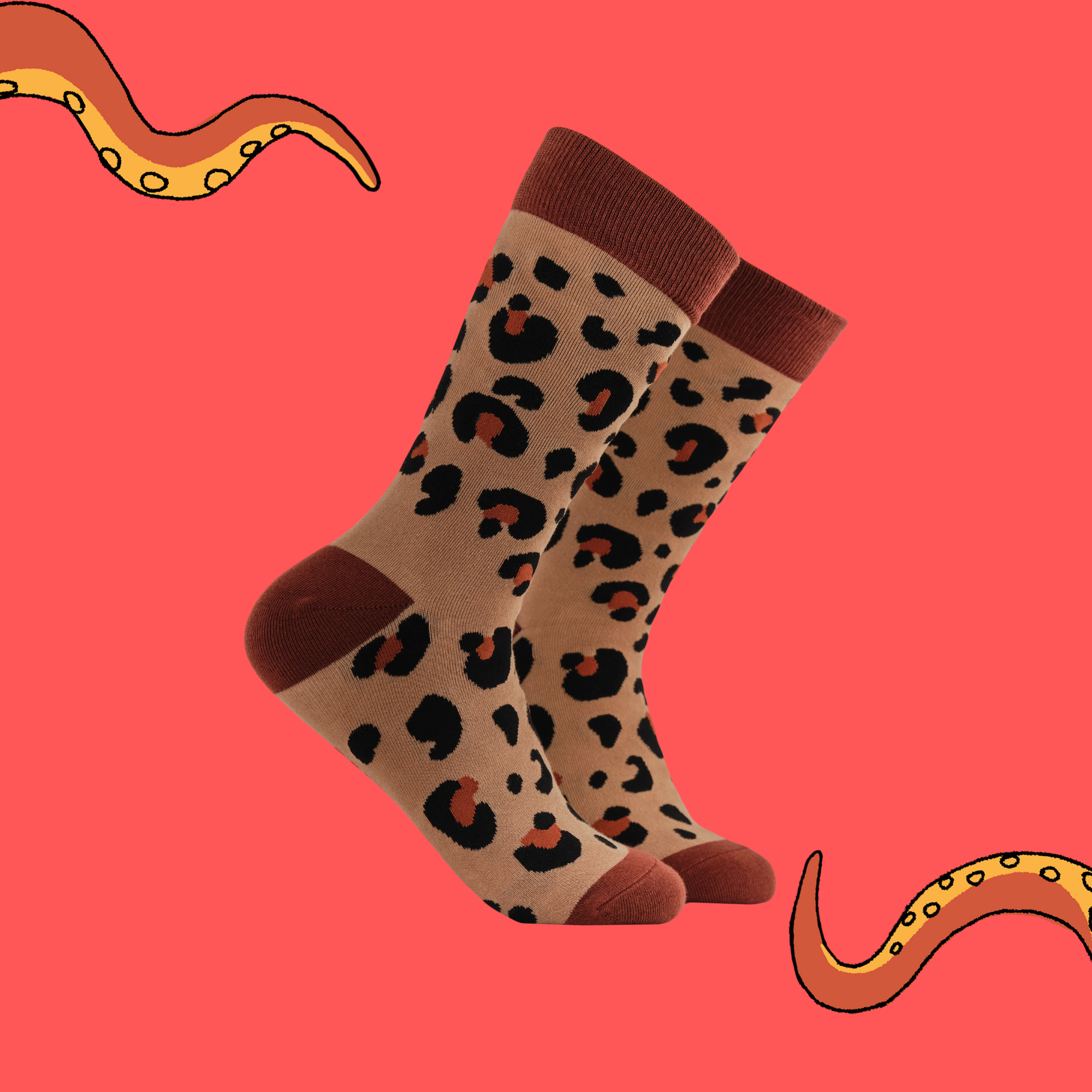 Leopard Print Socks - Cat Walk