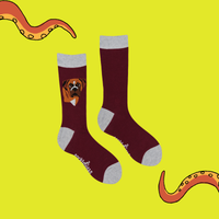 Boxer Dog Socks - Think Outside The Boxer