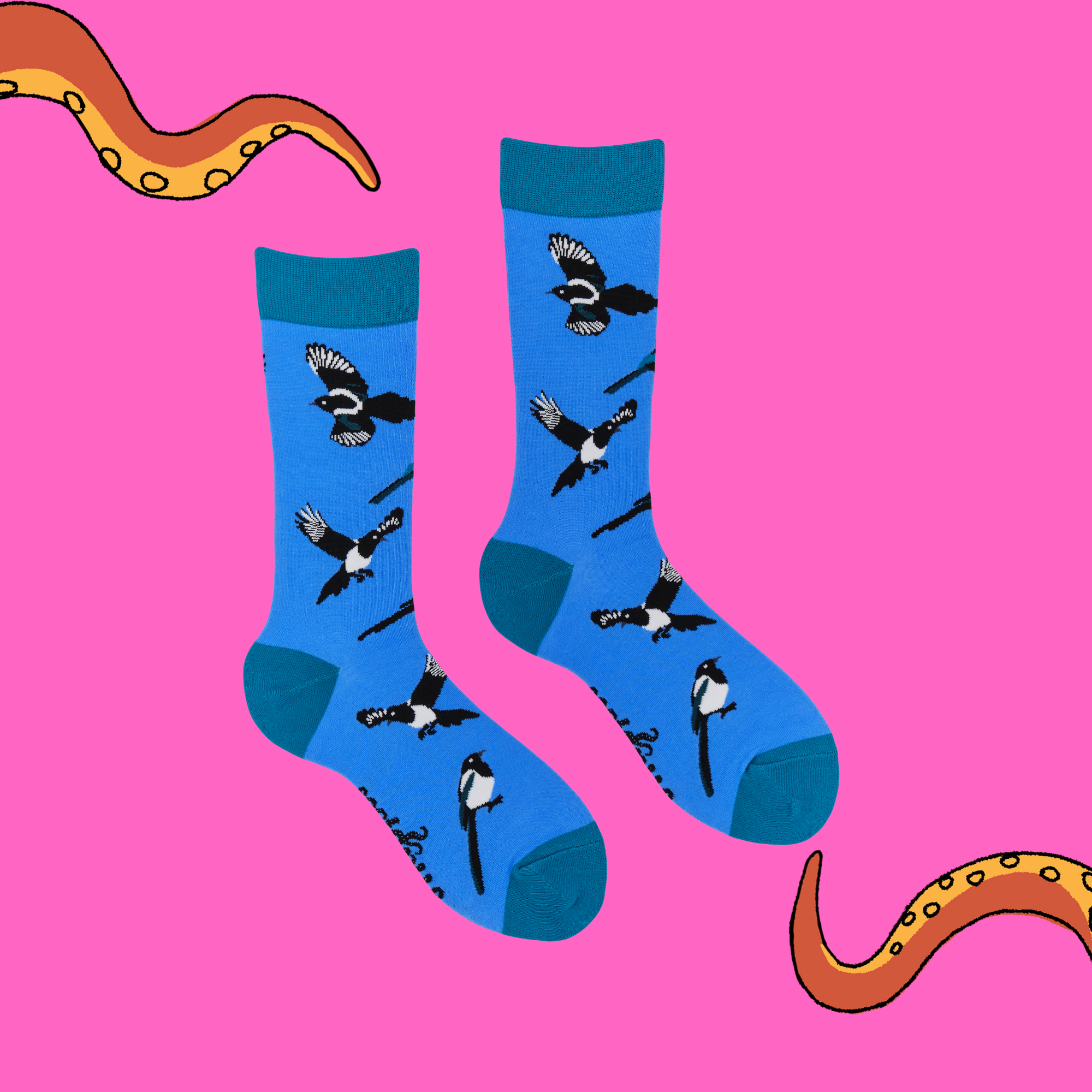 Magpies Socks