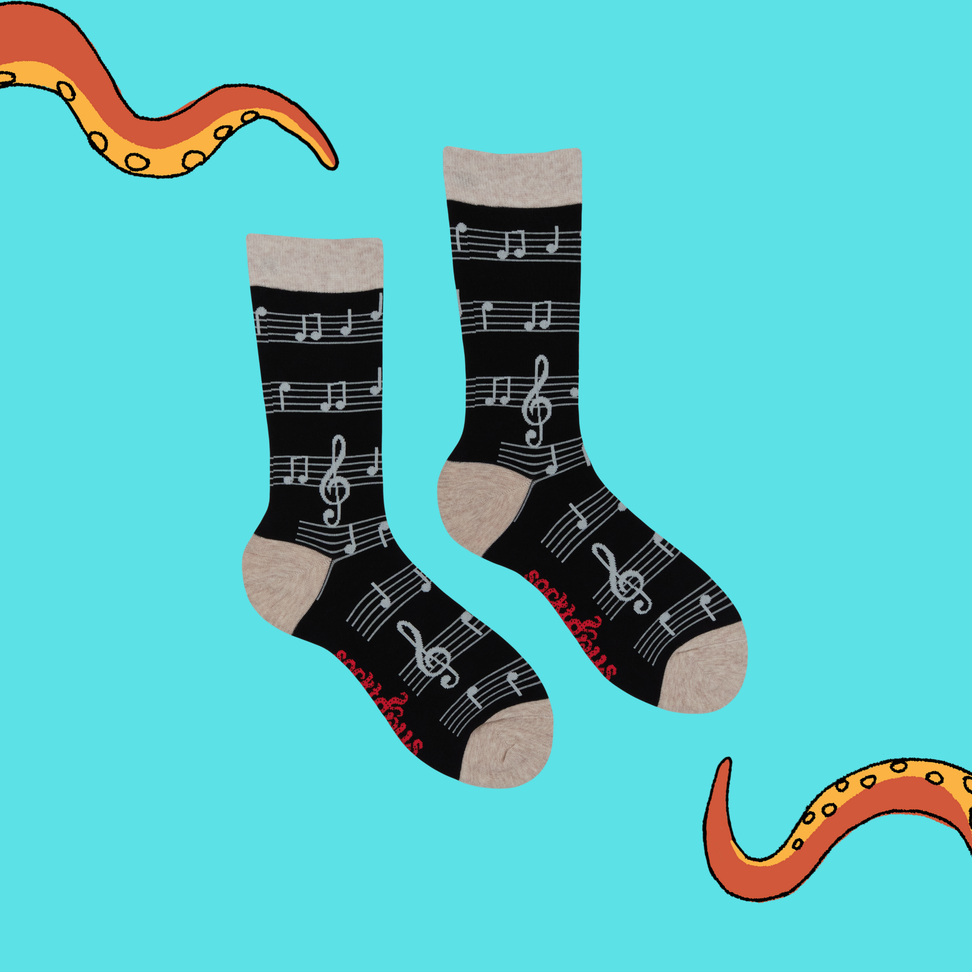 Music Socks - Footnotes