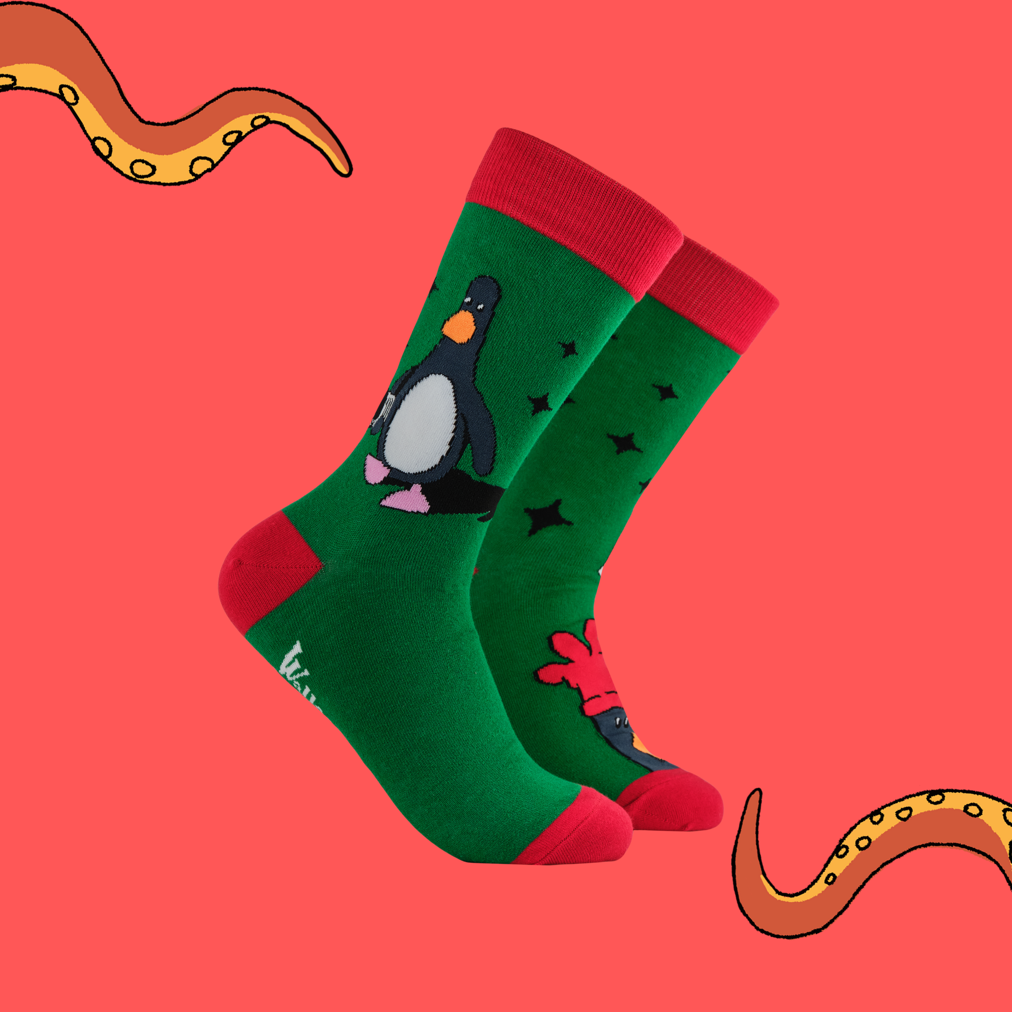 Have You Seen This Chicken Socks - Wallace and Gromit