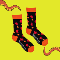 Feathers McGraw Socks - Wallace and Gromit