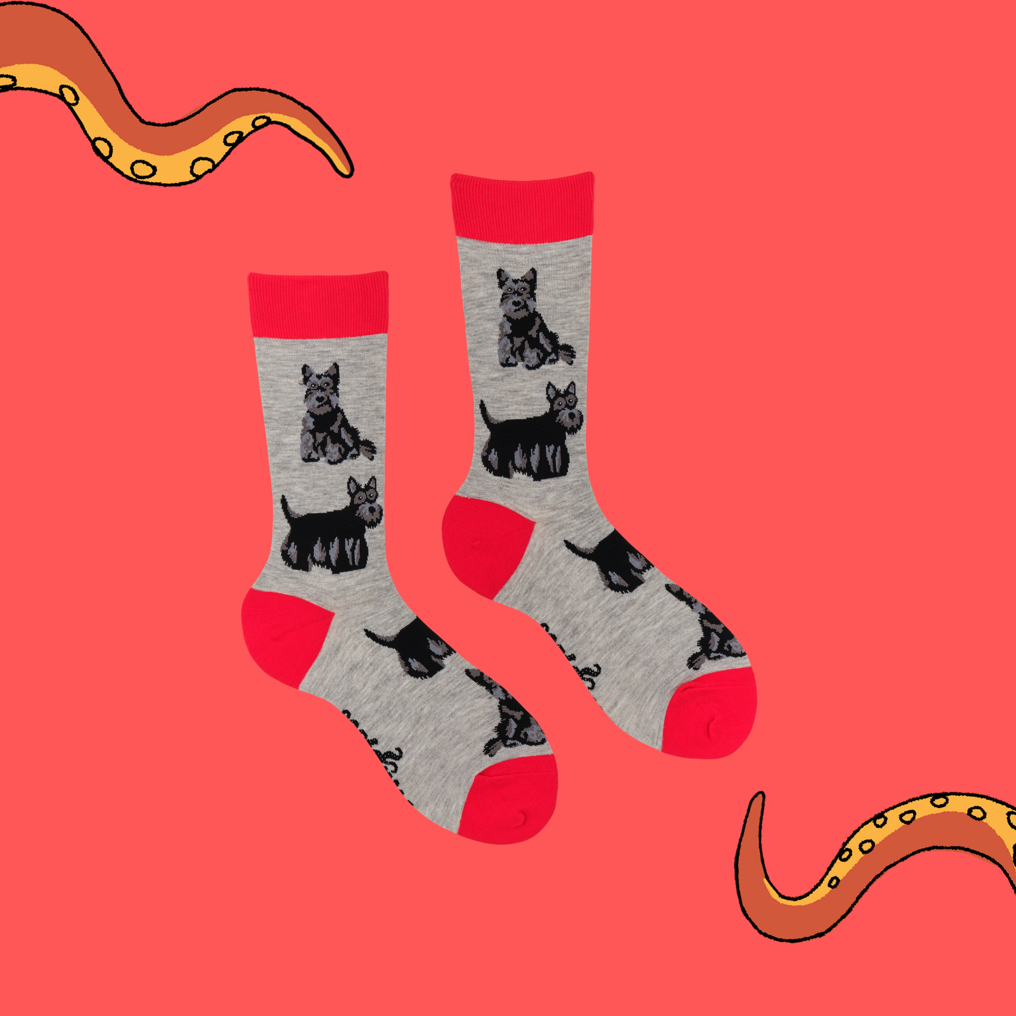 Scottie Socks - Beam Me Up Scottie