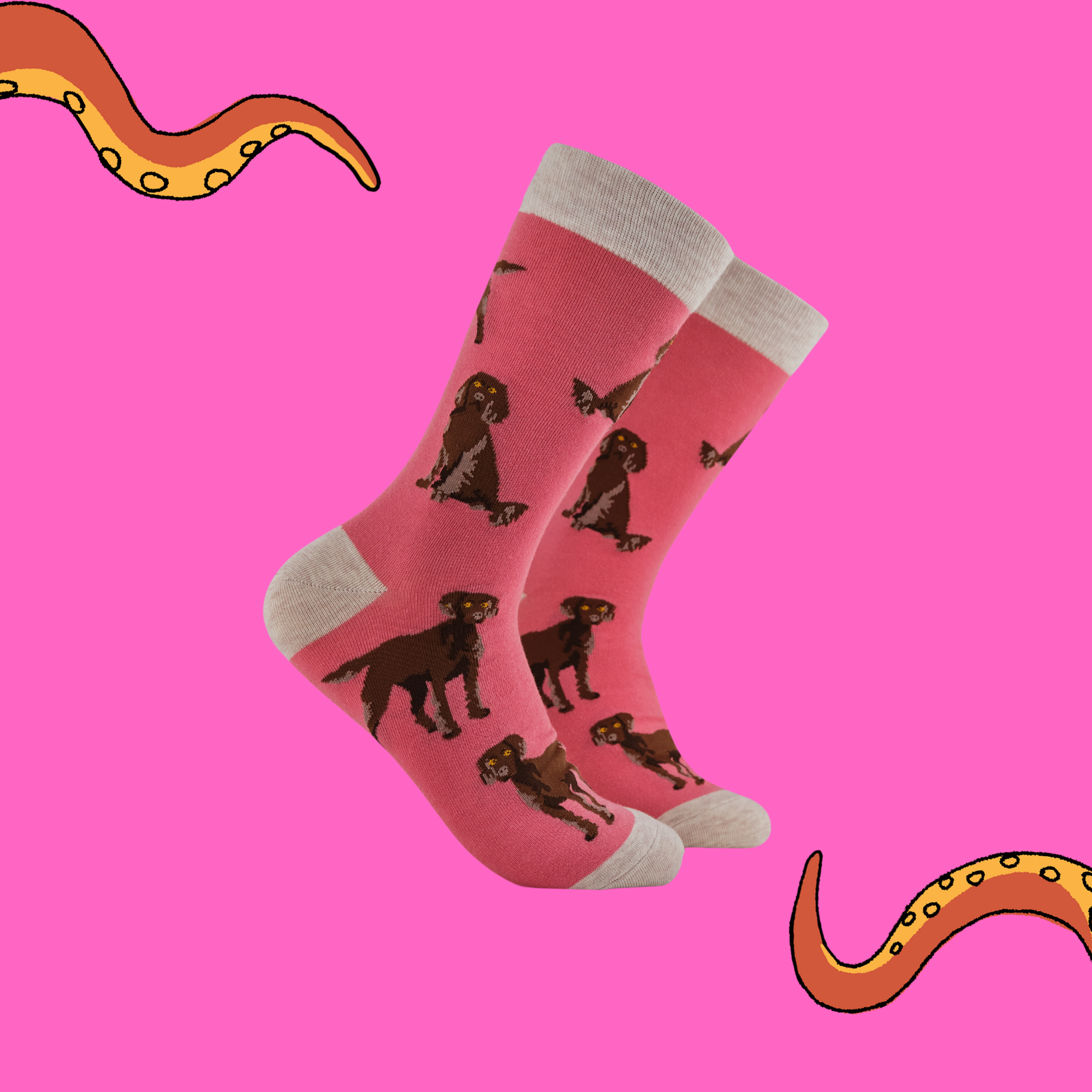Chocolate Spaniel Socks - Span au Chocolat