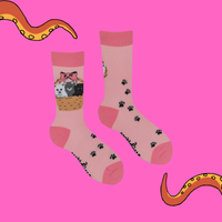 Kitten Socks - Litter Basket