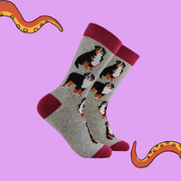 Bernese Mountain Dog Socks - Feel The Bern