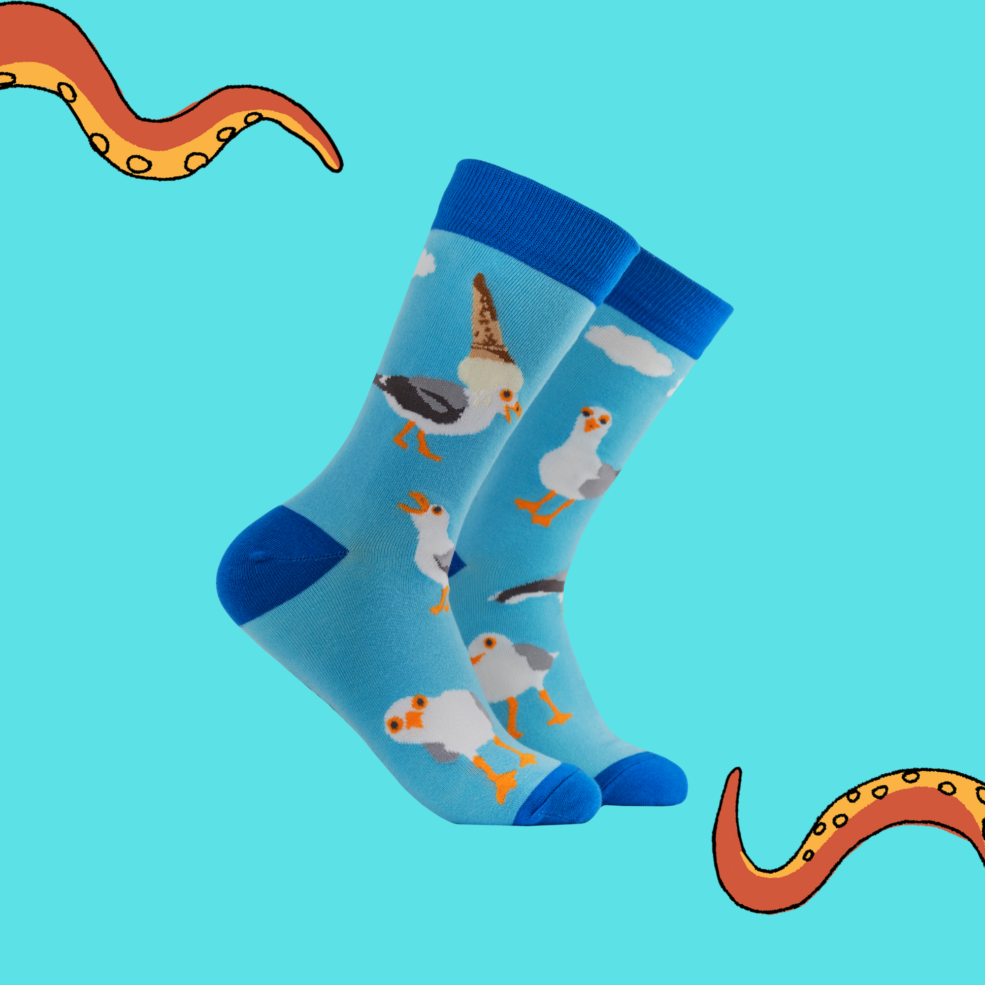 Seagull Socks - Gulls Just Wanna Have Fun