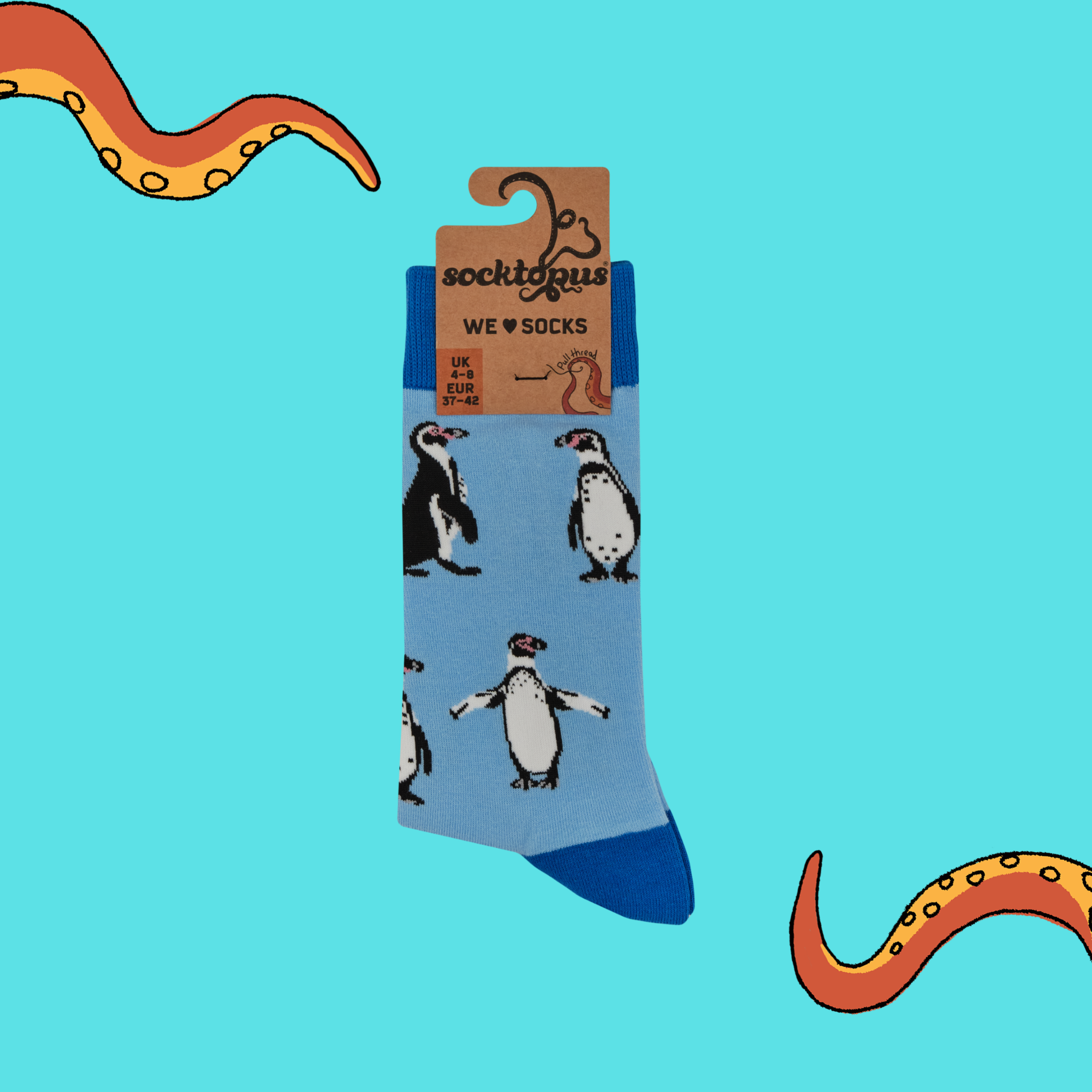Humboldt Penguin Socks