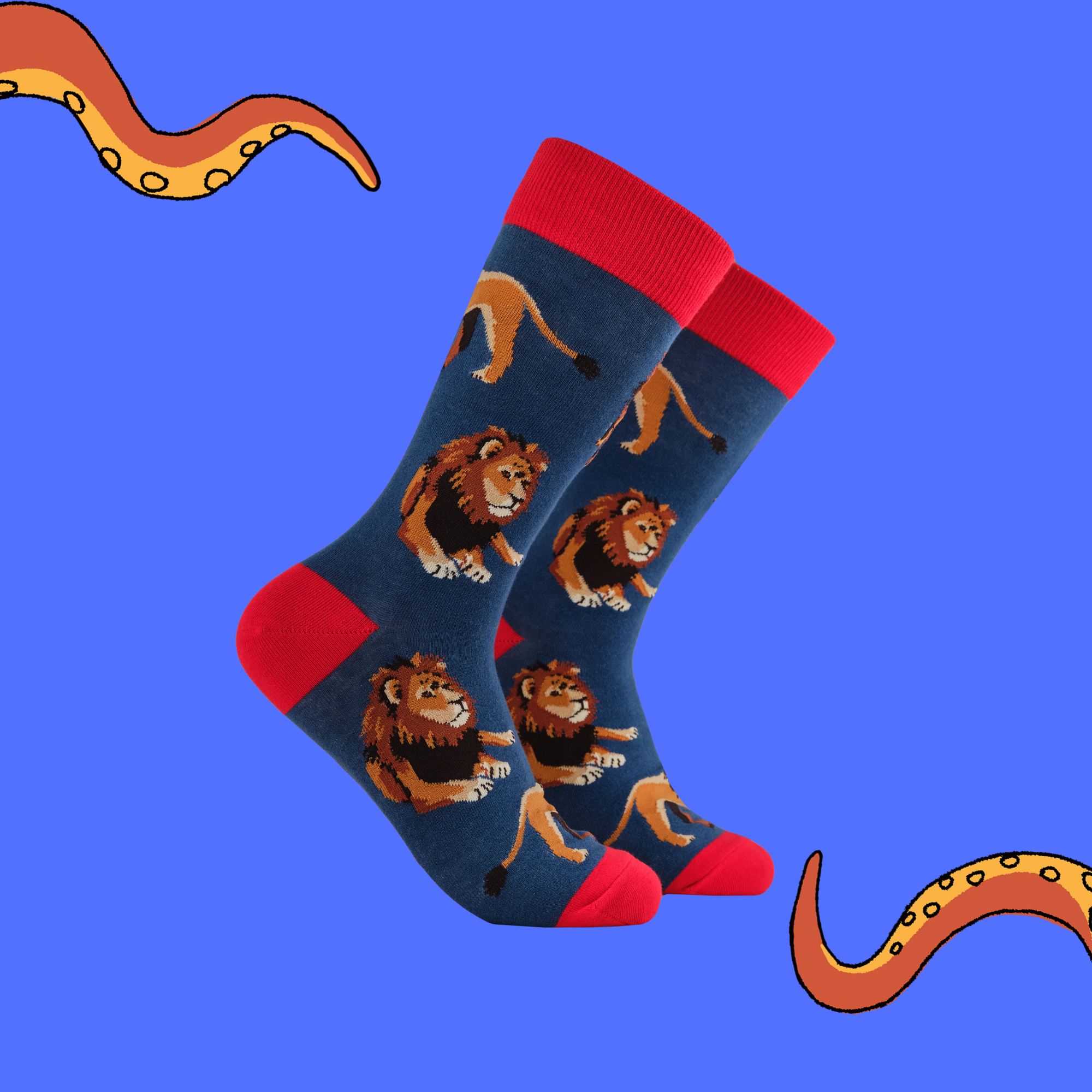 Lion Socks - Pride Of Place