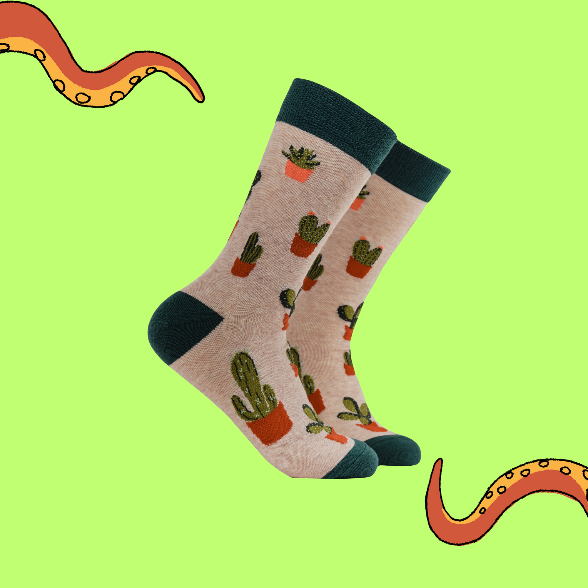Cactus Socks - Cactoes