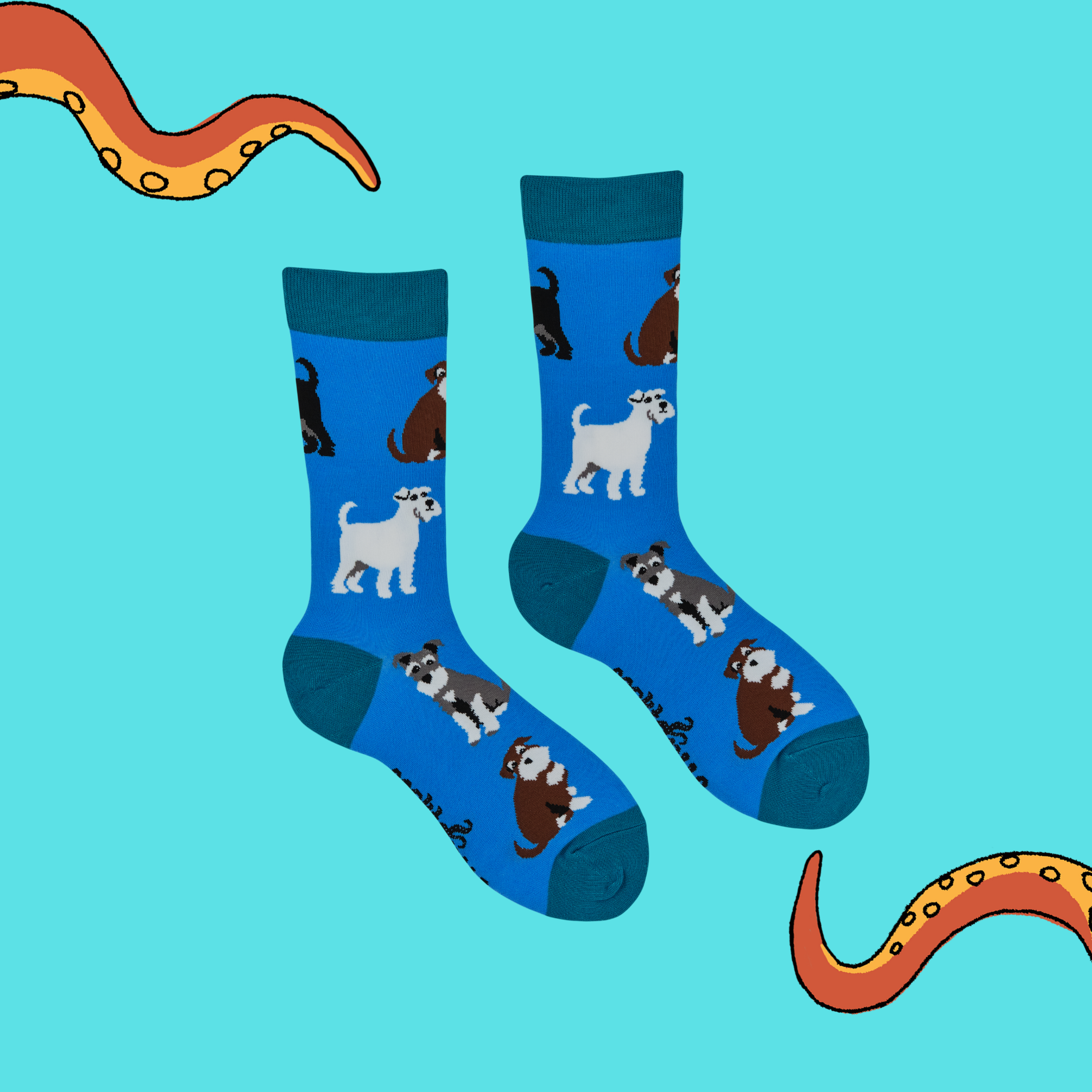 Schnauzer Socks - Schnauz-About That