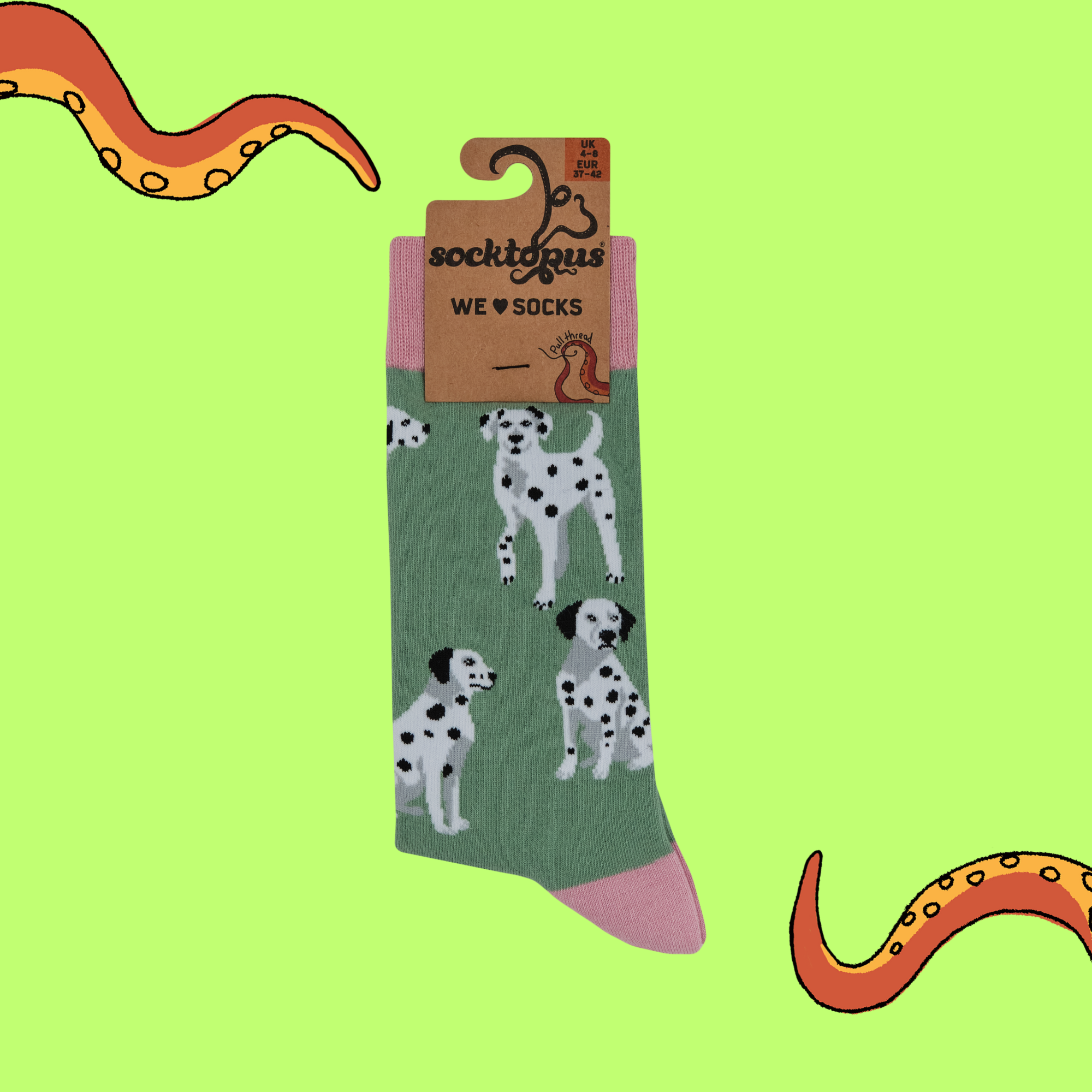 Dalmatian Socks - Spot The Difference