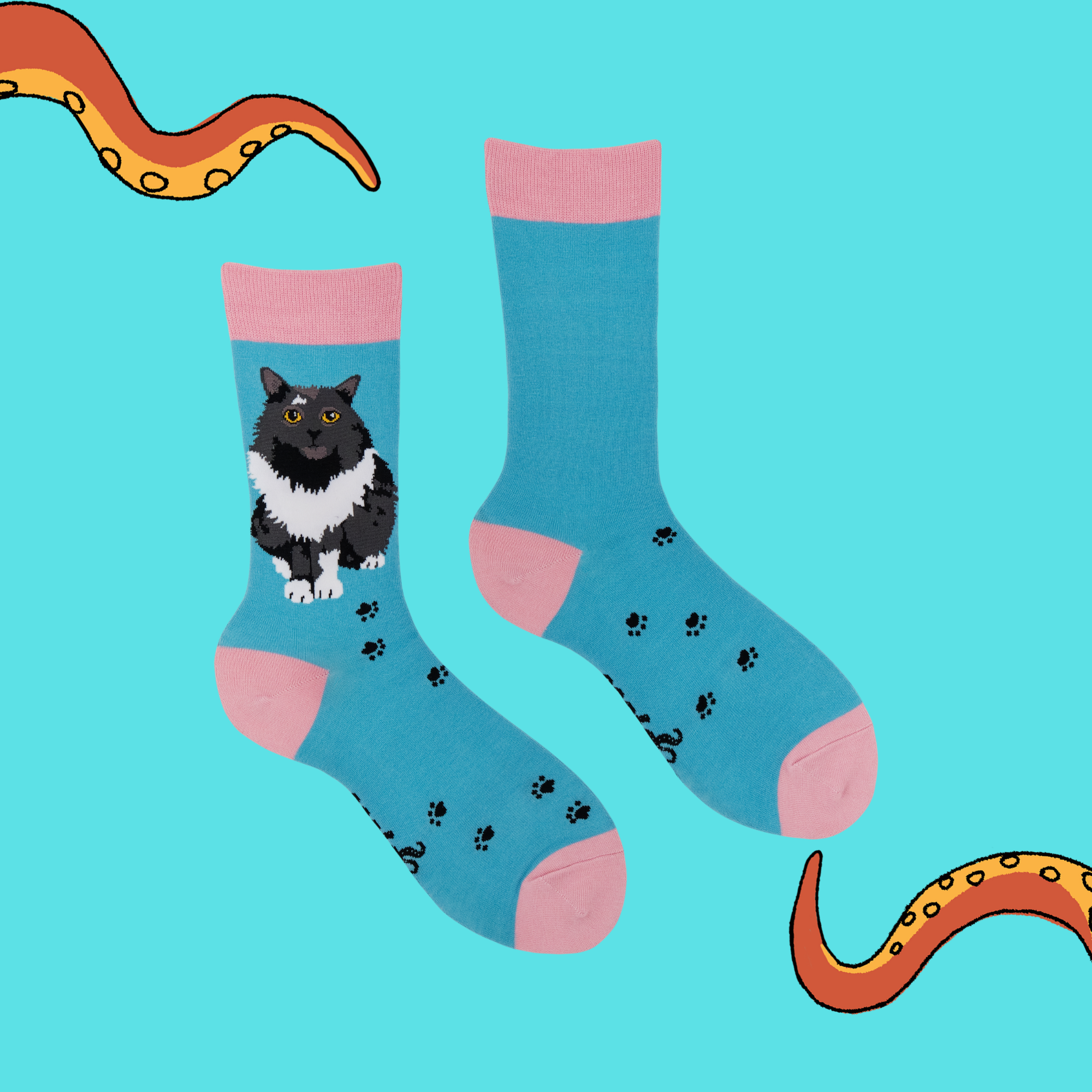 Cat Socks - Pro-Cat-Stinating