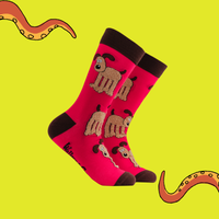 Fluffy Gromit Socks - Wallace and Gromit