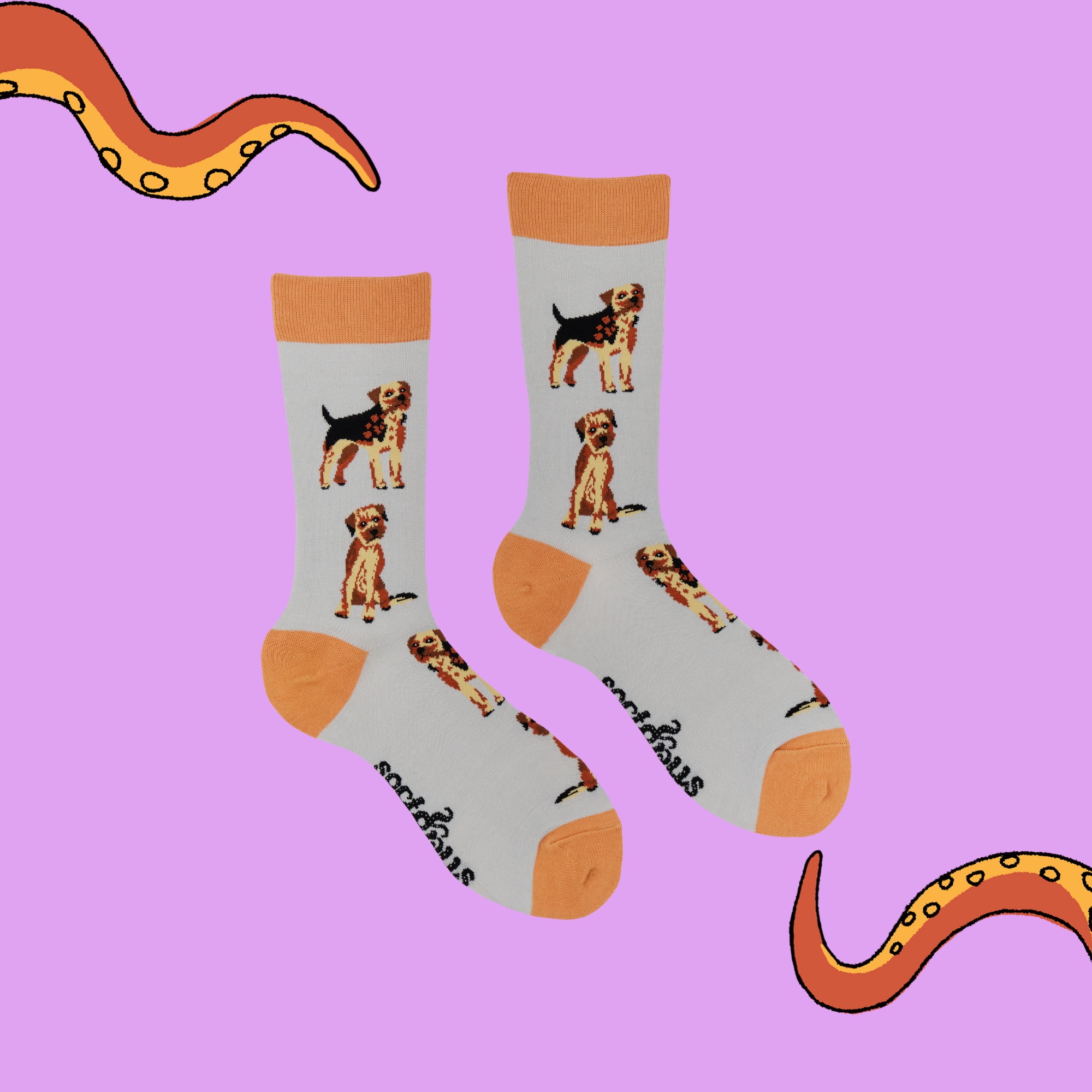 Border Terrier Socks - Borderline Obsessed