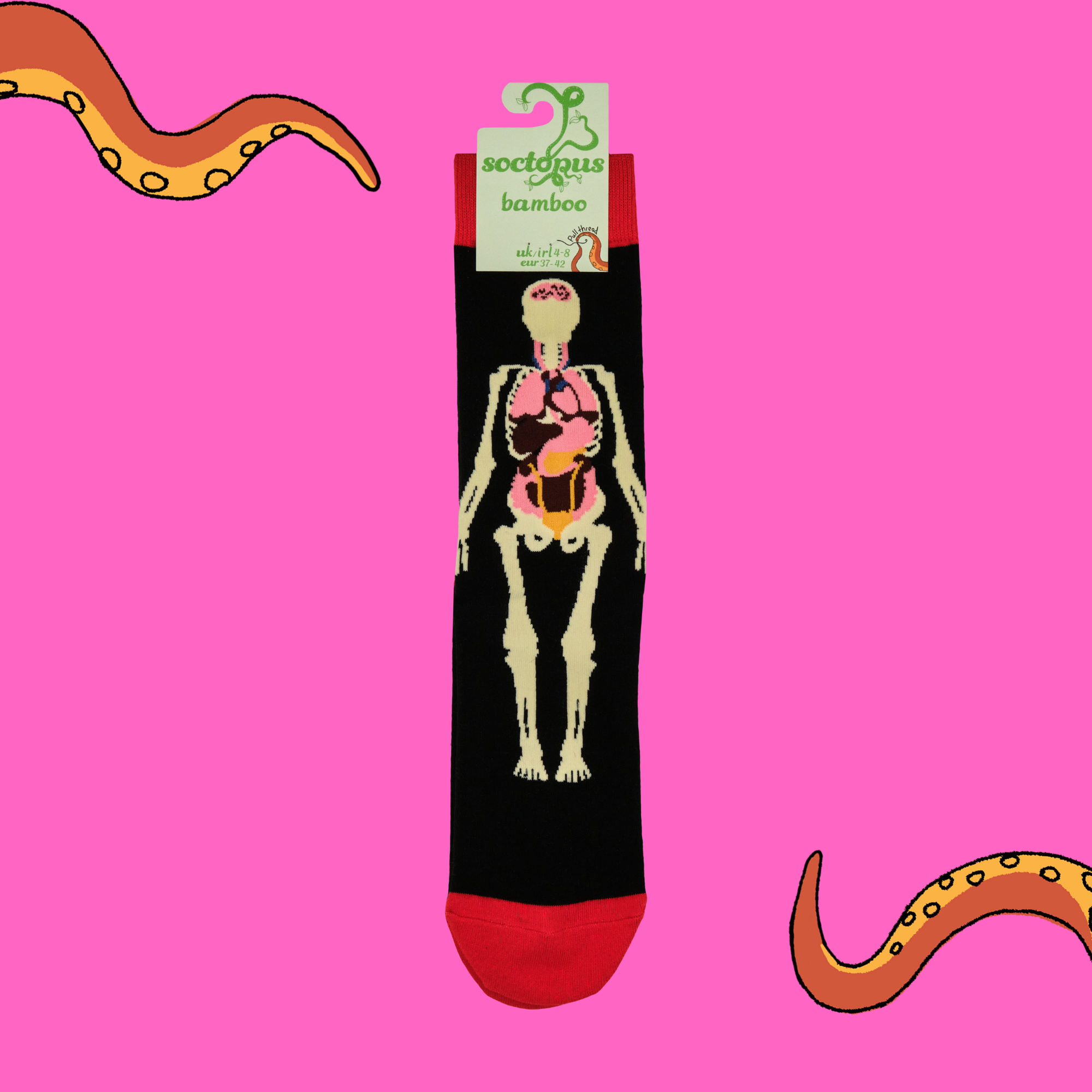 Anatomy Bamboo Socks