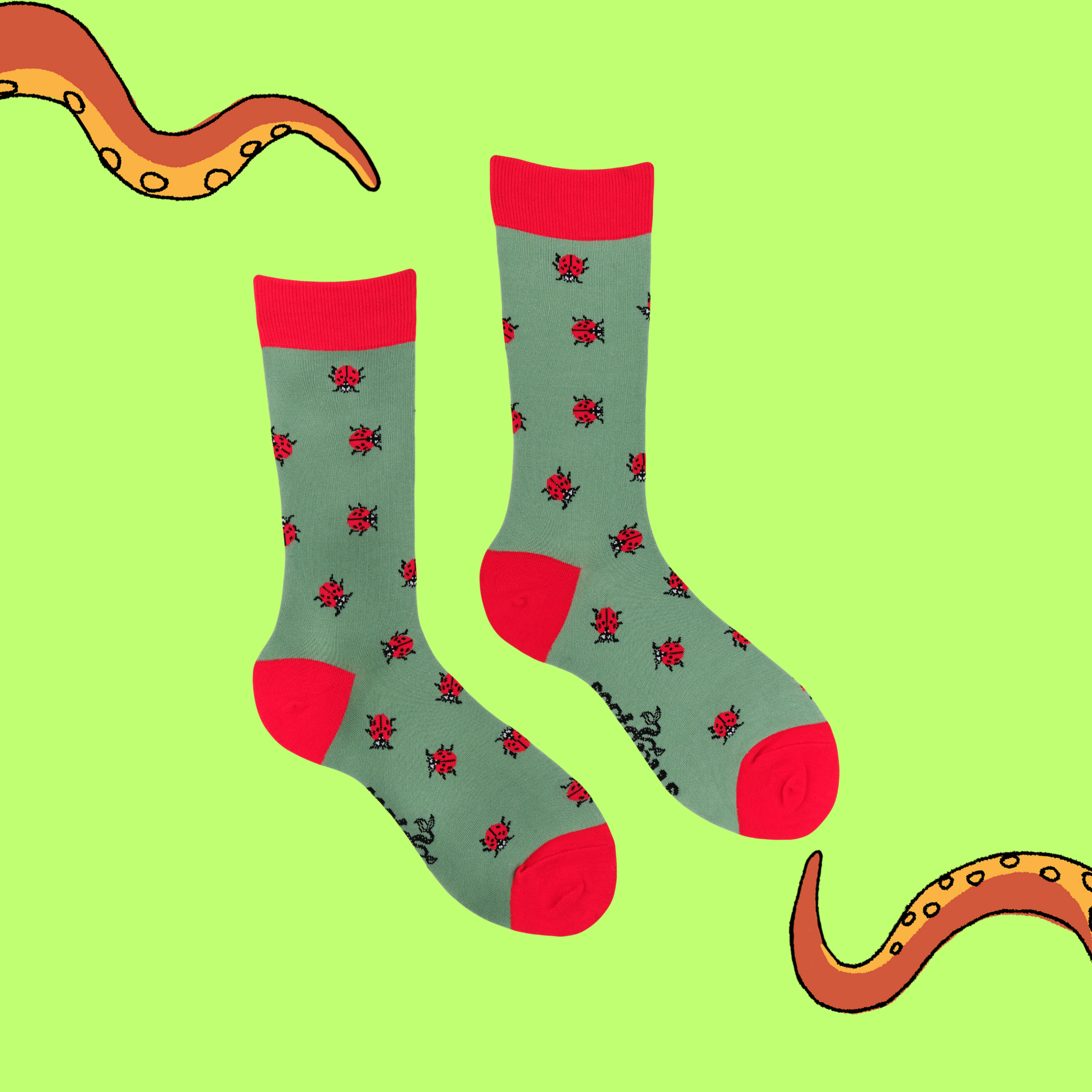 Ladybird Socks - Spot-On!