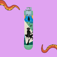 Persephone Socks - Fran Haslam