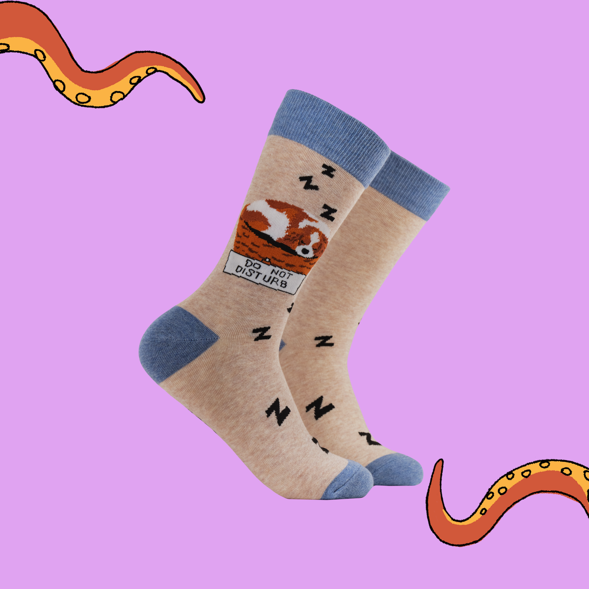 Dog Socks - Let Sleeping Dogs Lie