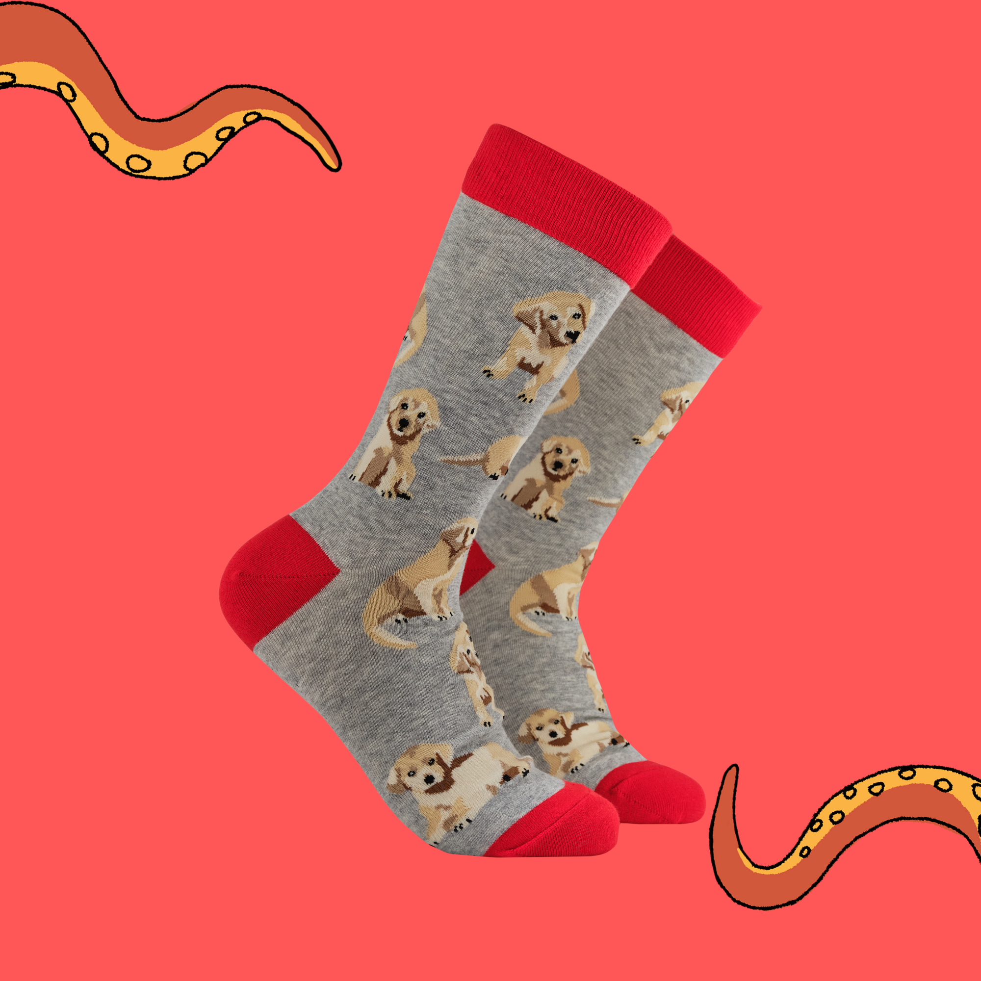 Puppy Love Socks