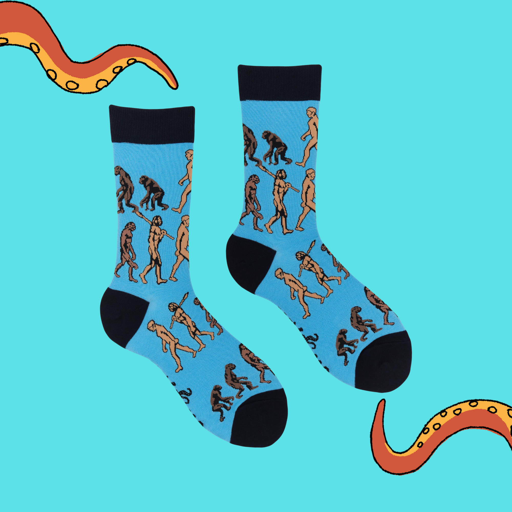 Science Socks - Theory of Evolution
