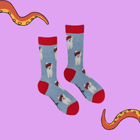 Tartan Westie Dog Socks