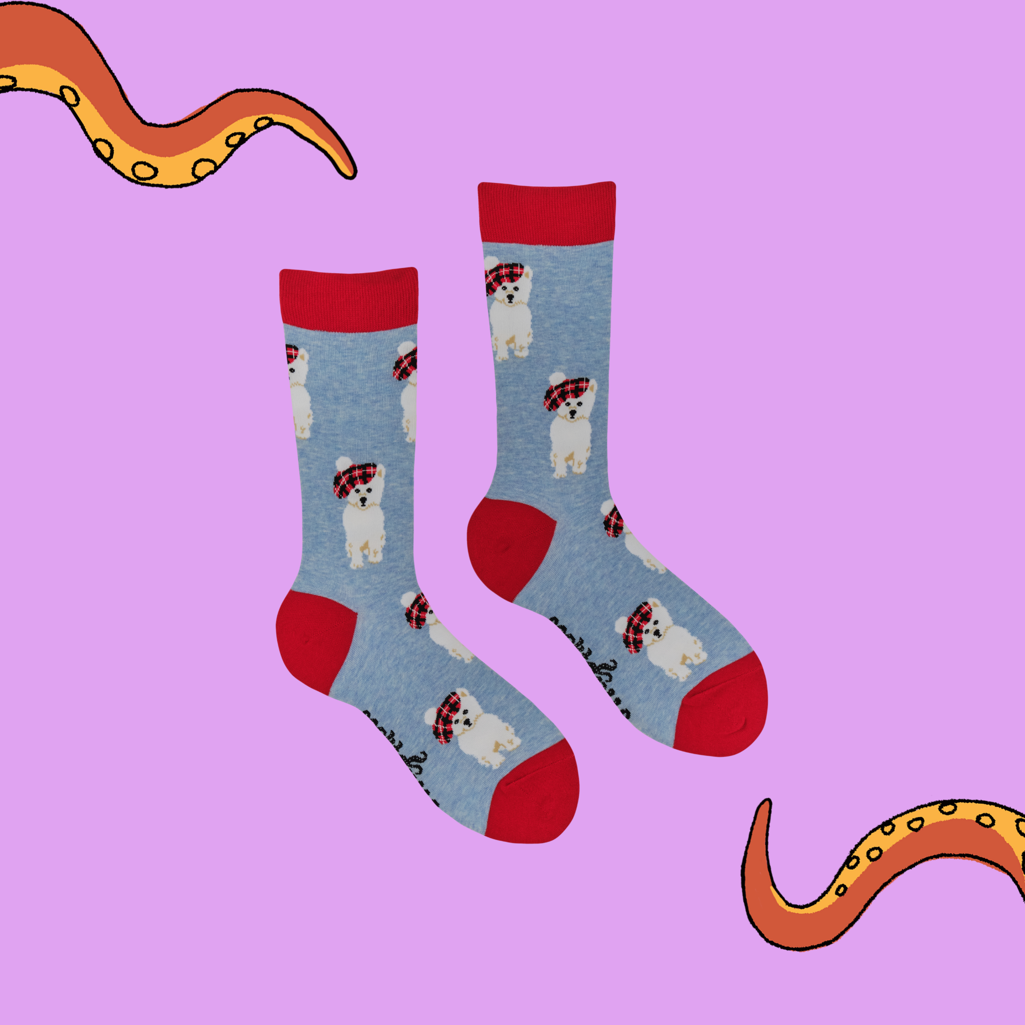 Tartan Westie Dog Socks